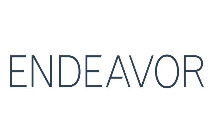 endeavor logo.jpg
