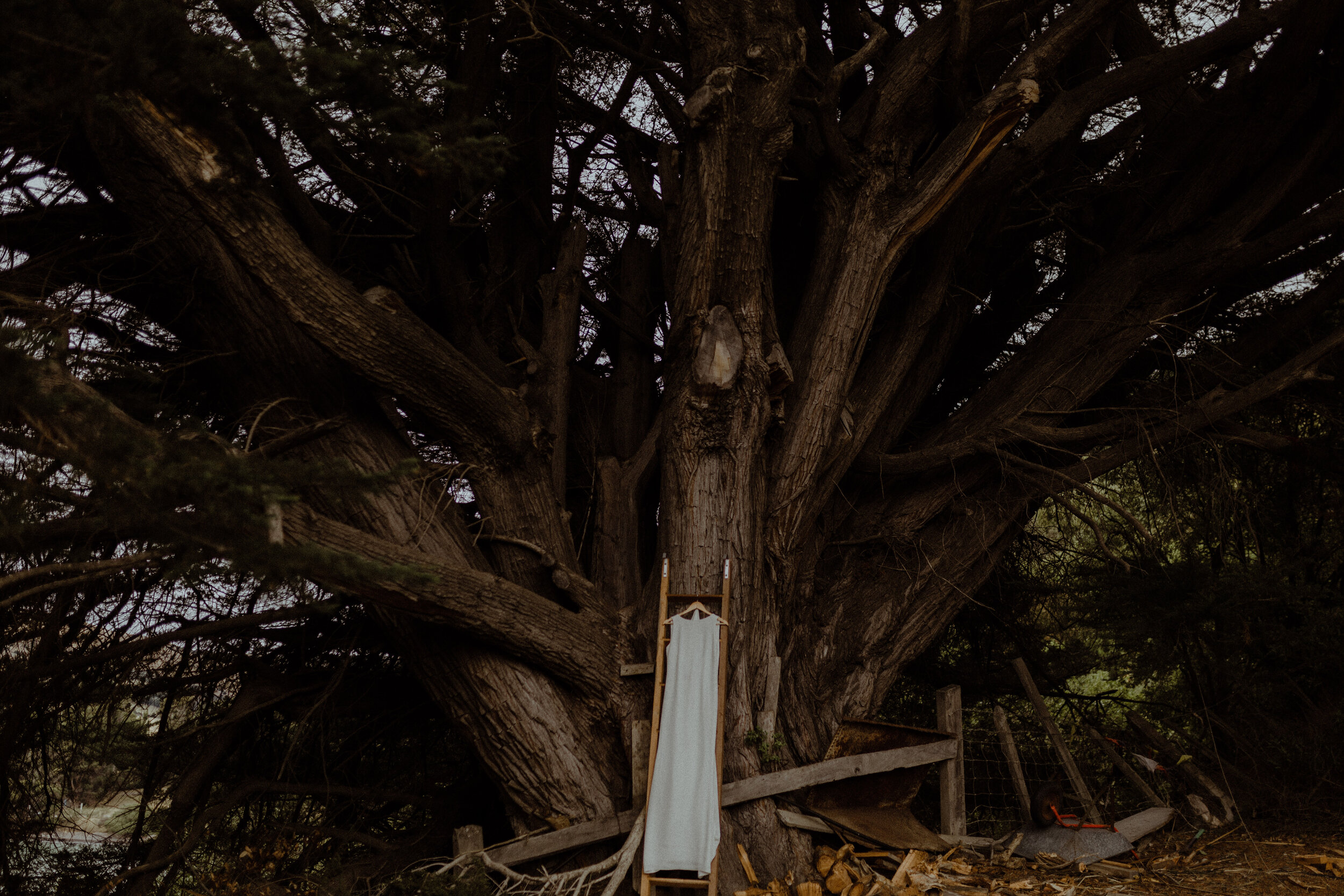 ALEISHAHAMISHSNEAKPEEKS-2626.jpg