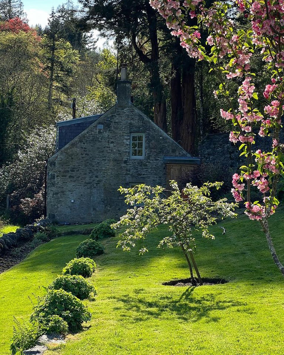 Spring sunshine and pretty pink blossom  making Garden Cottage look especially charming today 
.
.
.
#spring #sunshine #gardencottage #walledgarden #blossom #crabapple #theyairscotland #holidaycottages #holidaycottagesscottishborders #selfcateringacc