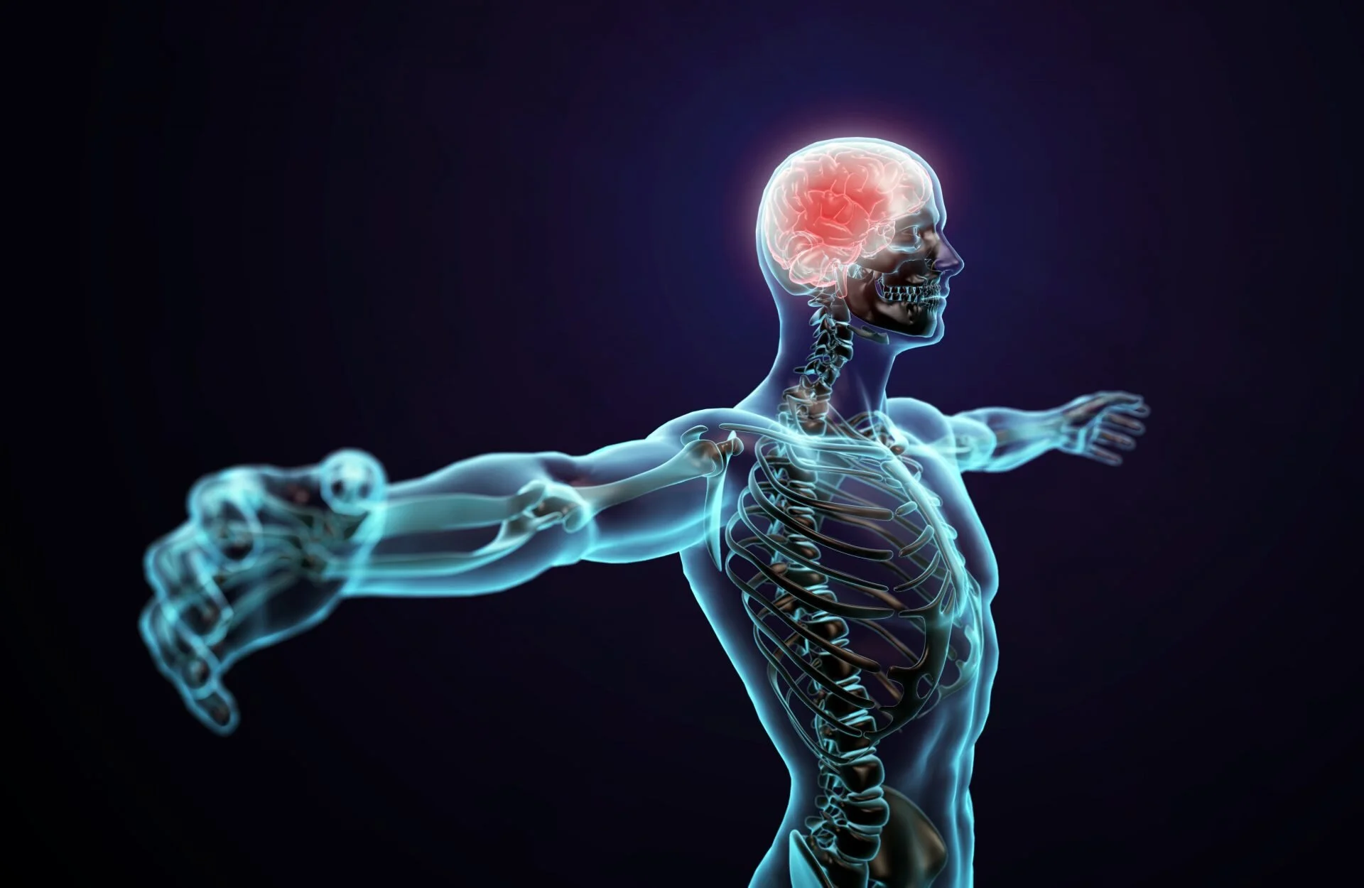 What is the Endocannabinoid System?