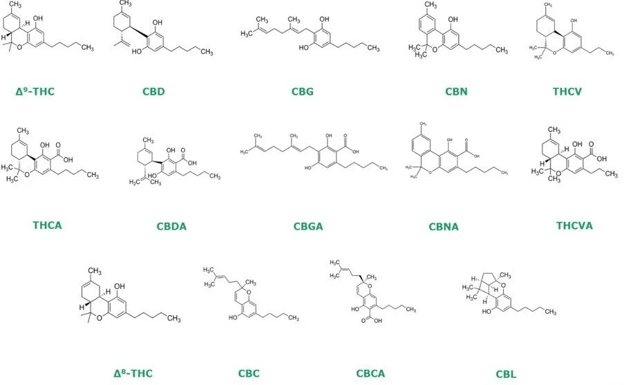 What are Cannabinoids?