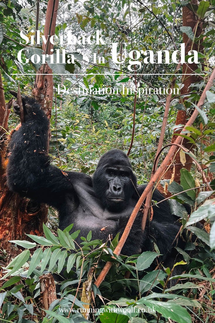 Gorilla Trekking Pin 1.jpg