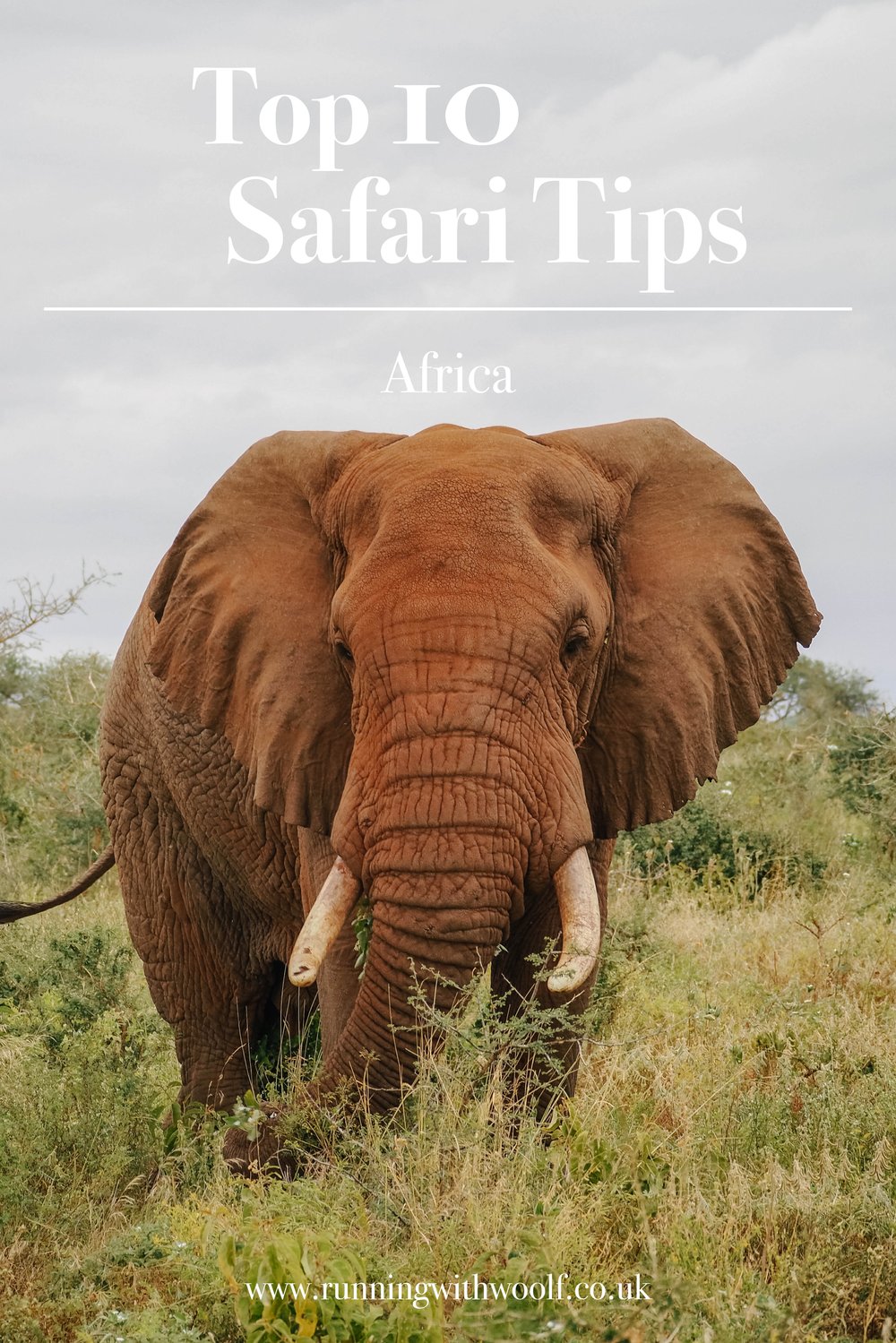 top 10 safari tip pin 2.jpg
