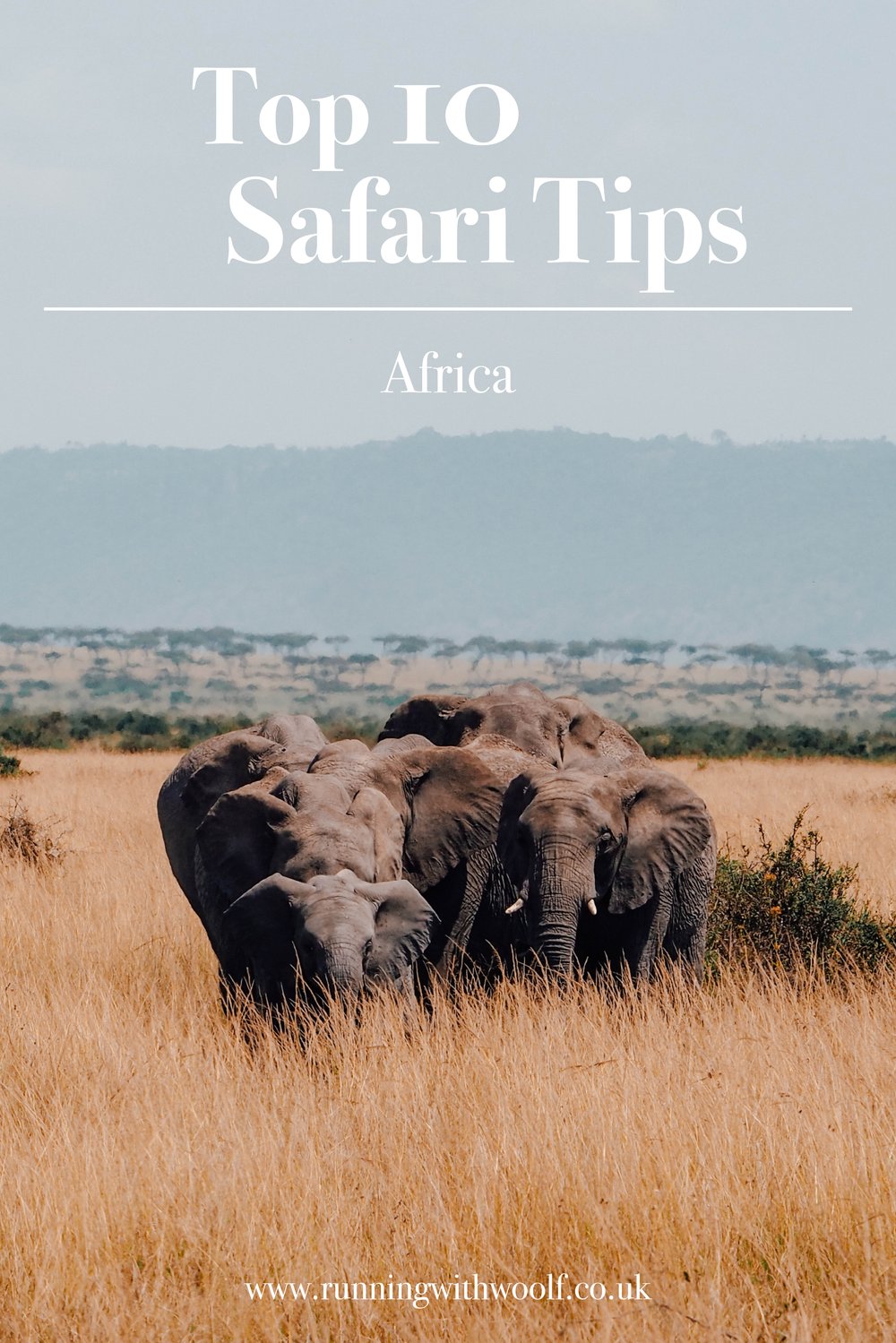 top 10 safari tip pin 1.jpg