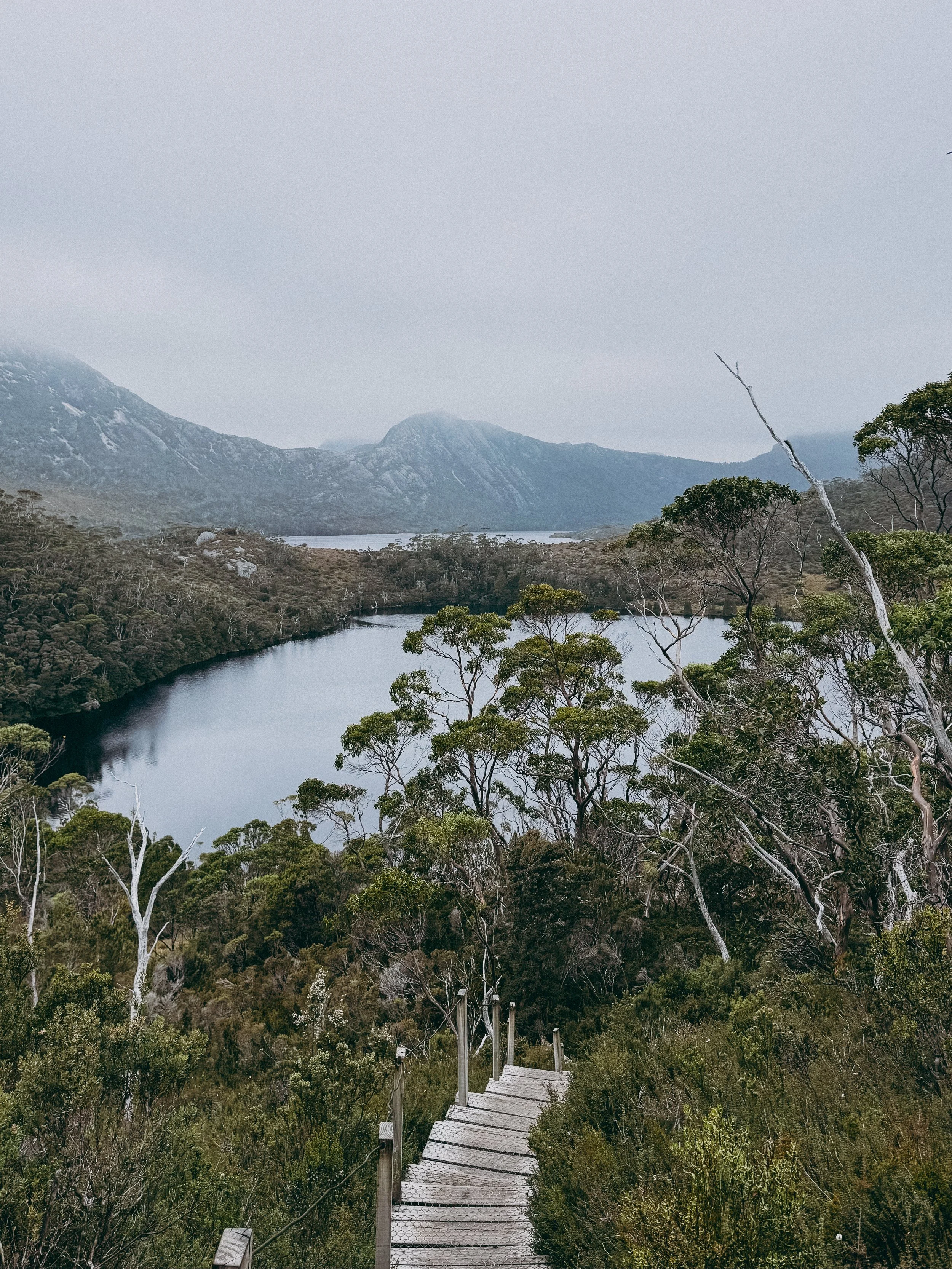 View from Marion's Lookout in Cradle Mountain