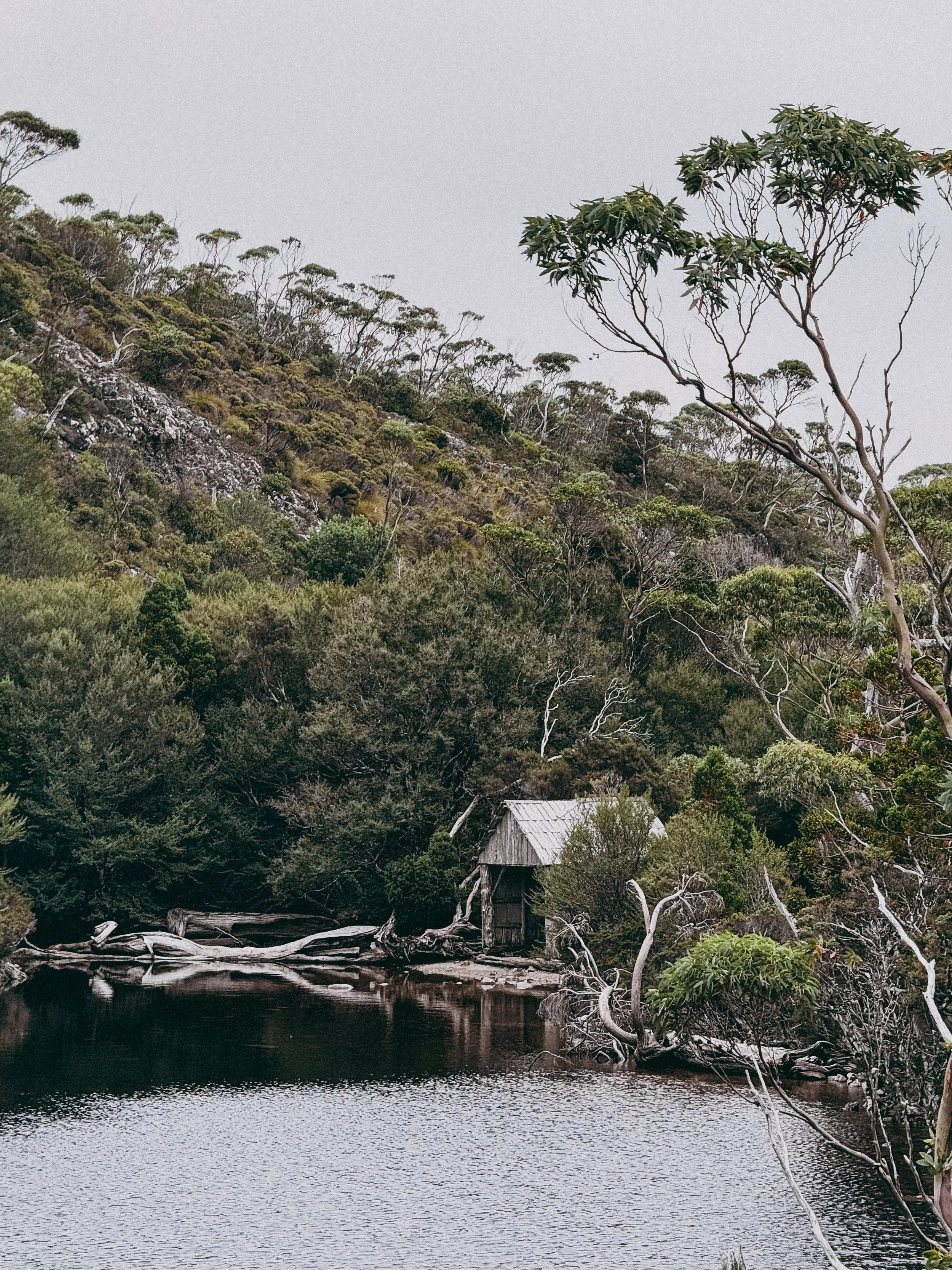 cradle-mountain-tasmania