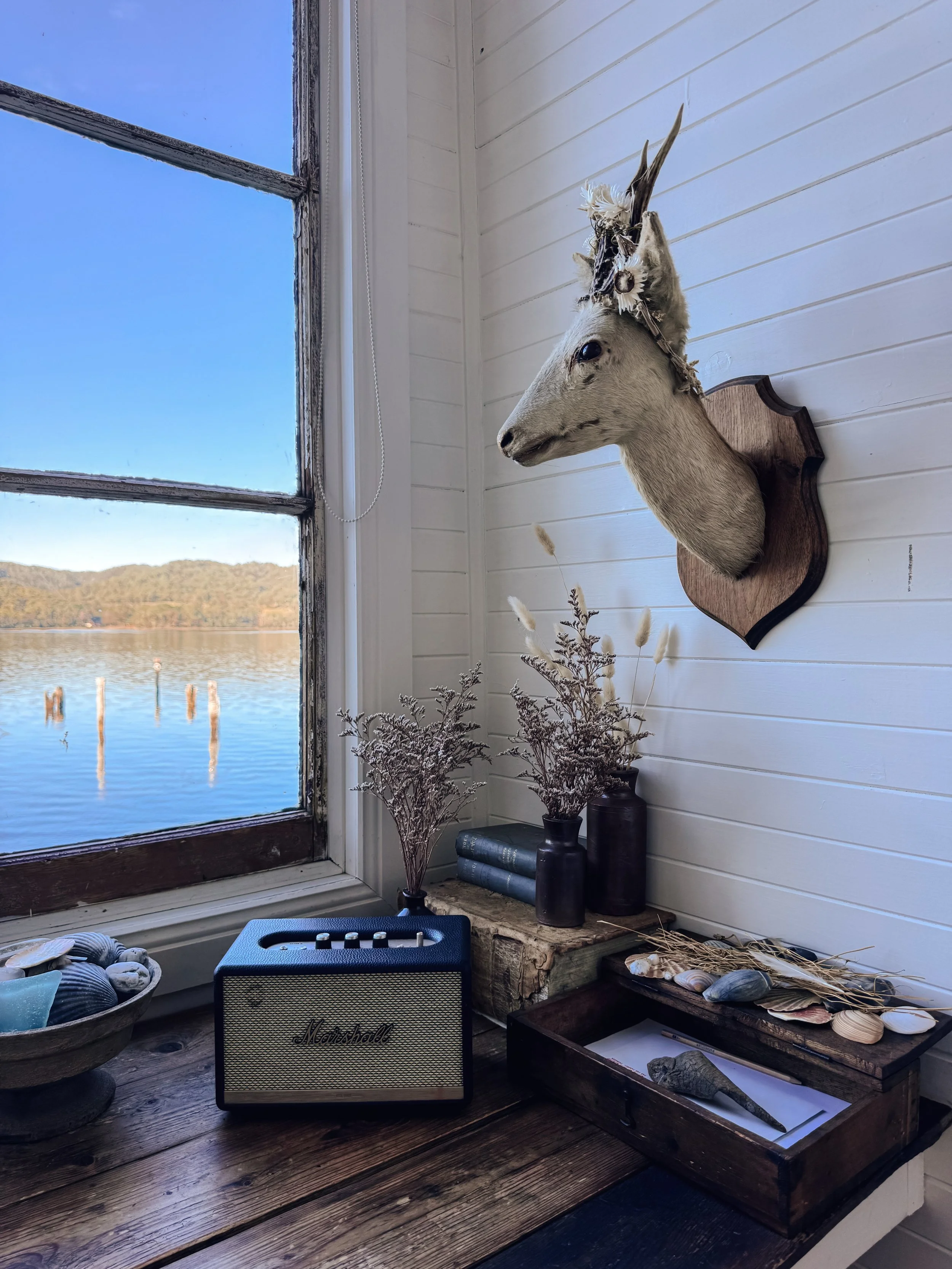 Waterfront views in Strahan on Tasmania's west coast