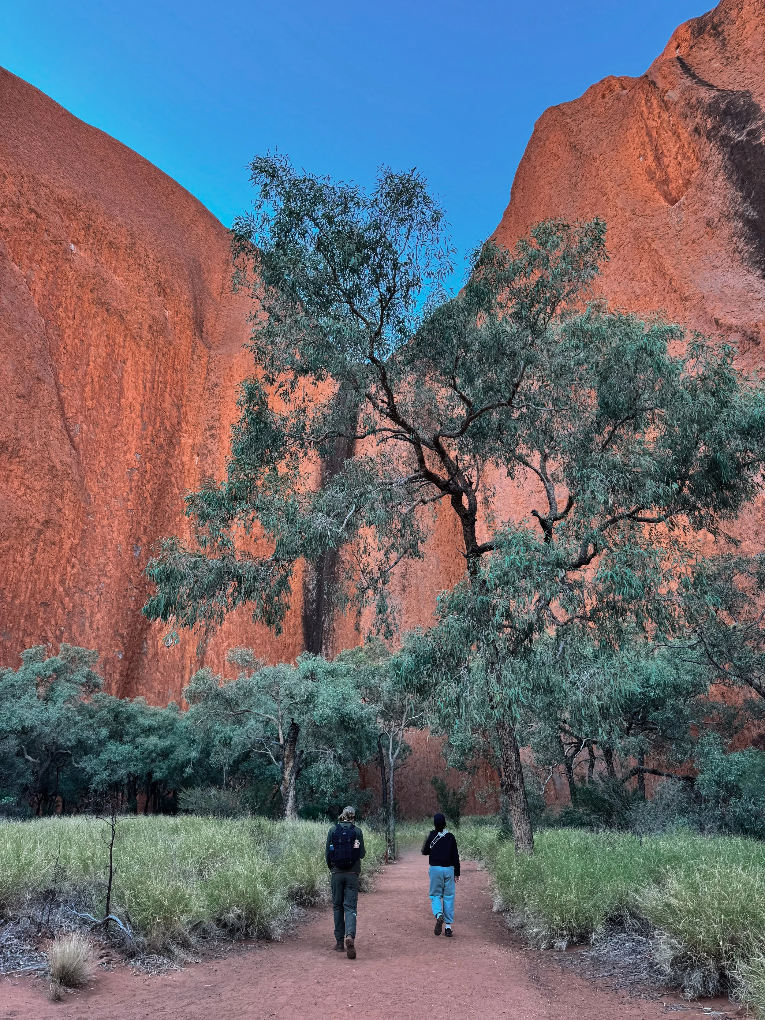 uluru kata tjuta 4 top experiences australia-19.jpg