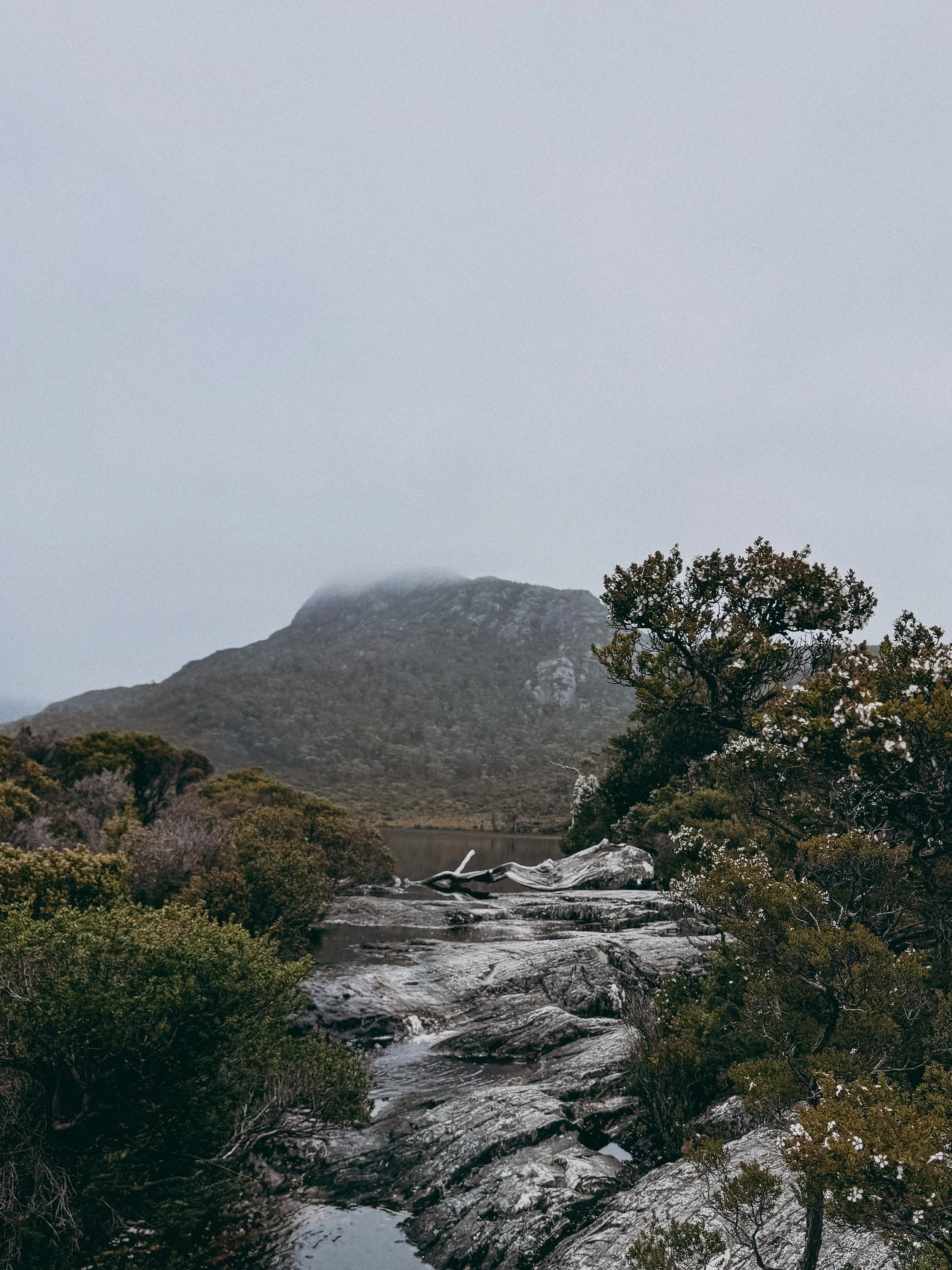 dove-lake-cradle-mountain