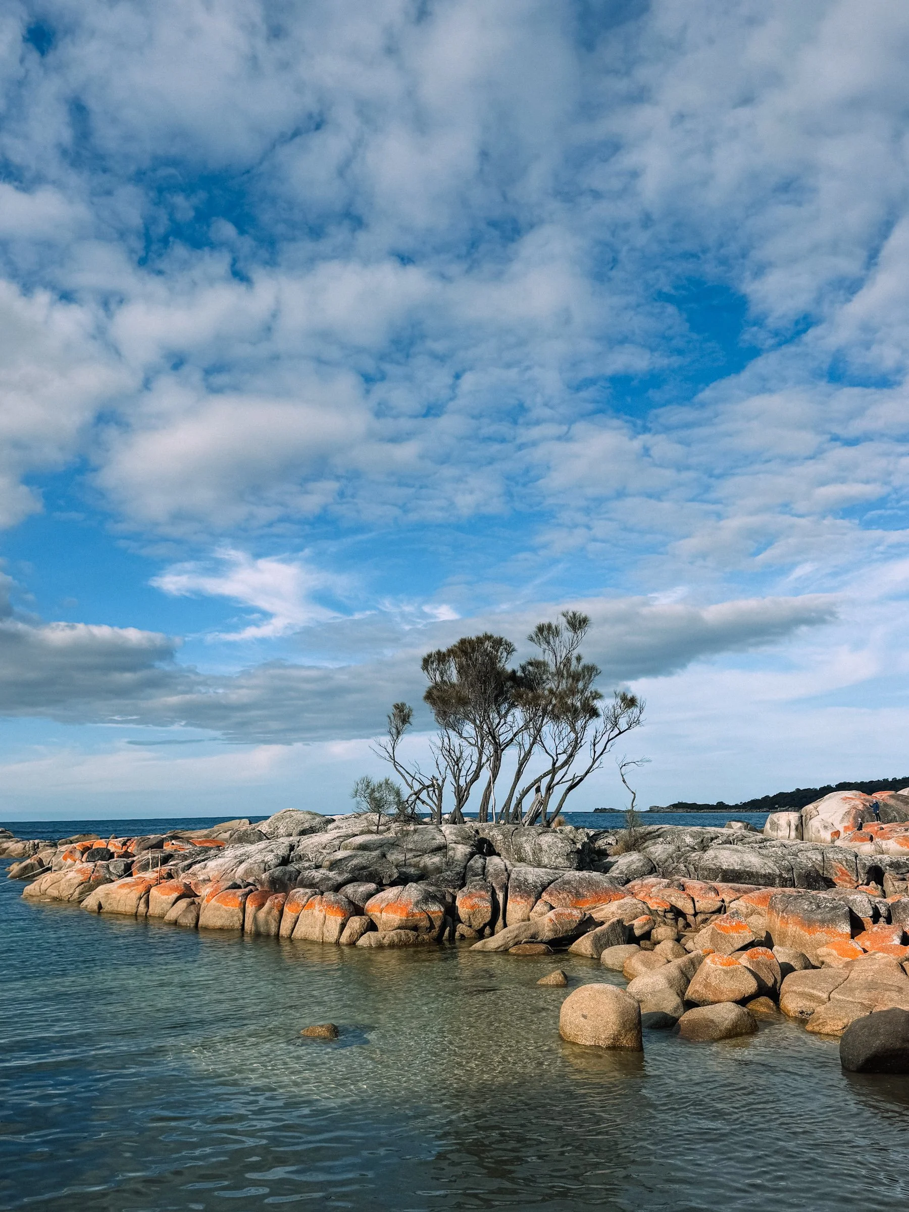 bay-of-fires-tasmania-orange-rocks