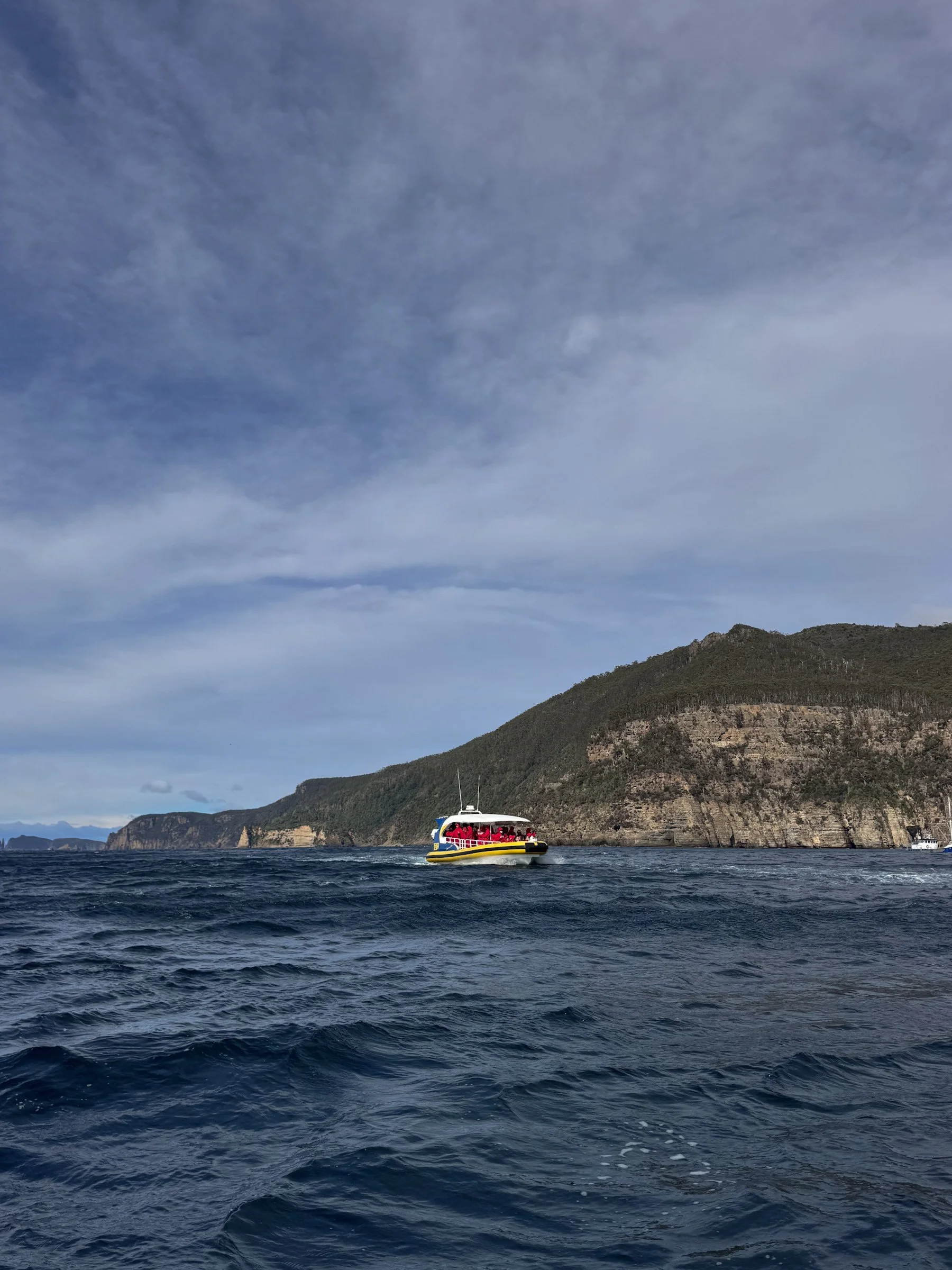cape-raoul-tasmania-coast.jpg