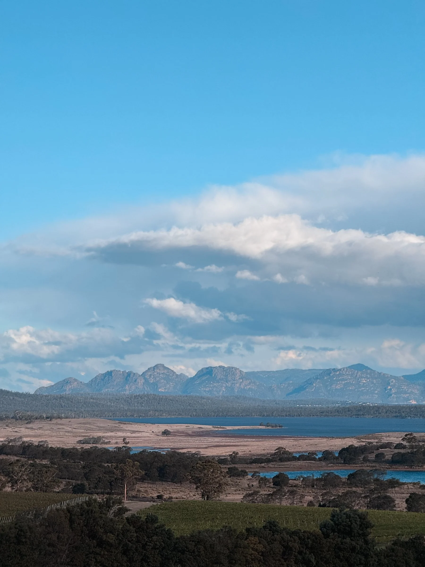 Devil's Corner winery overlooking the Freycinet region