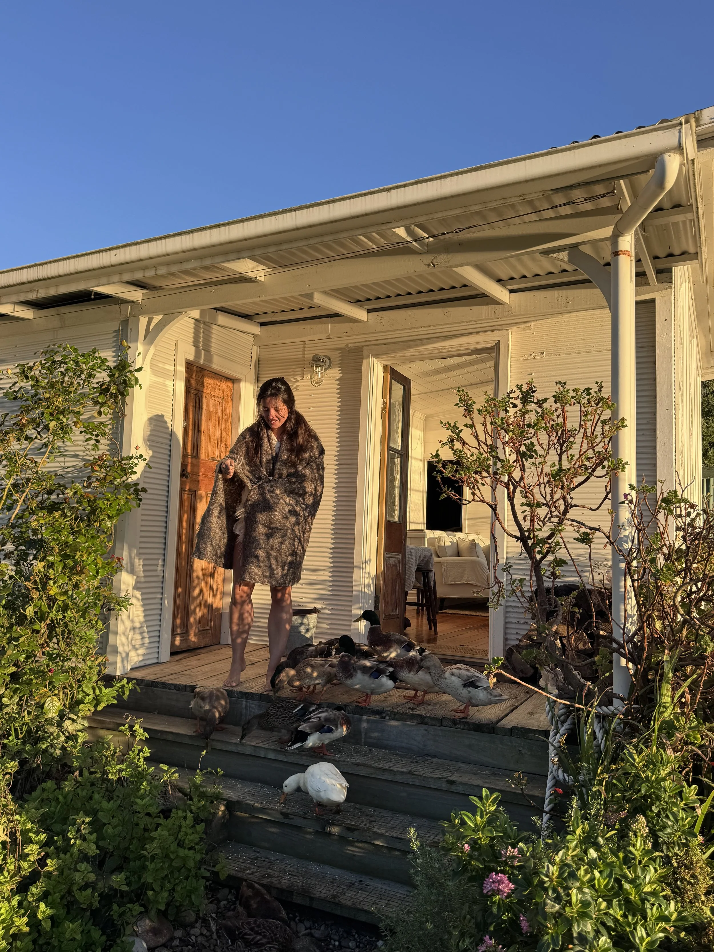 The Captain's Rest waterfront accommodation in Strahan