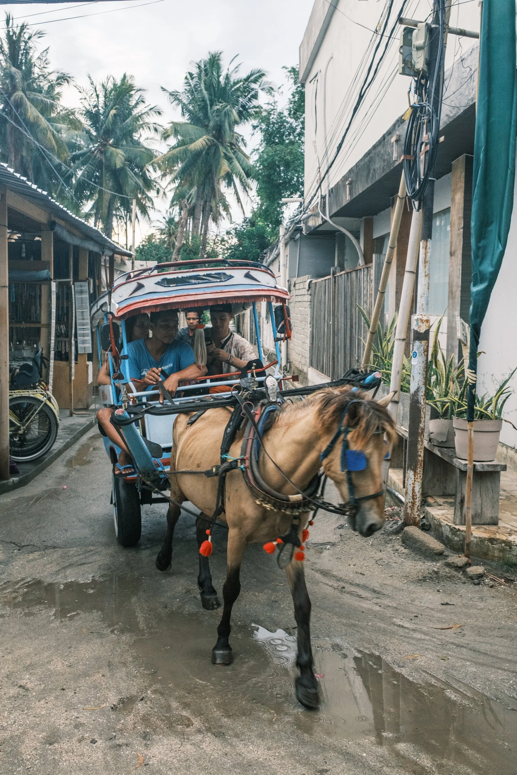 Indonesia (16 of 20).jpg