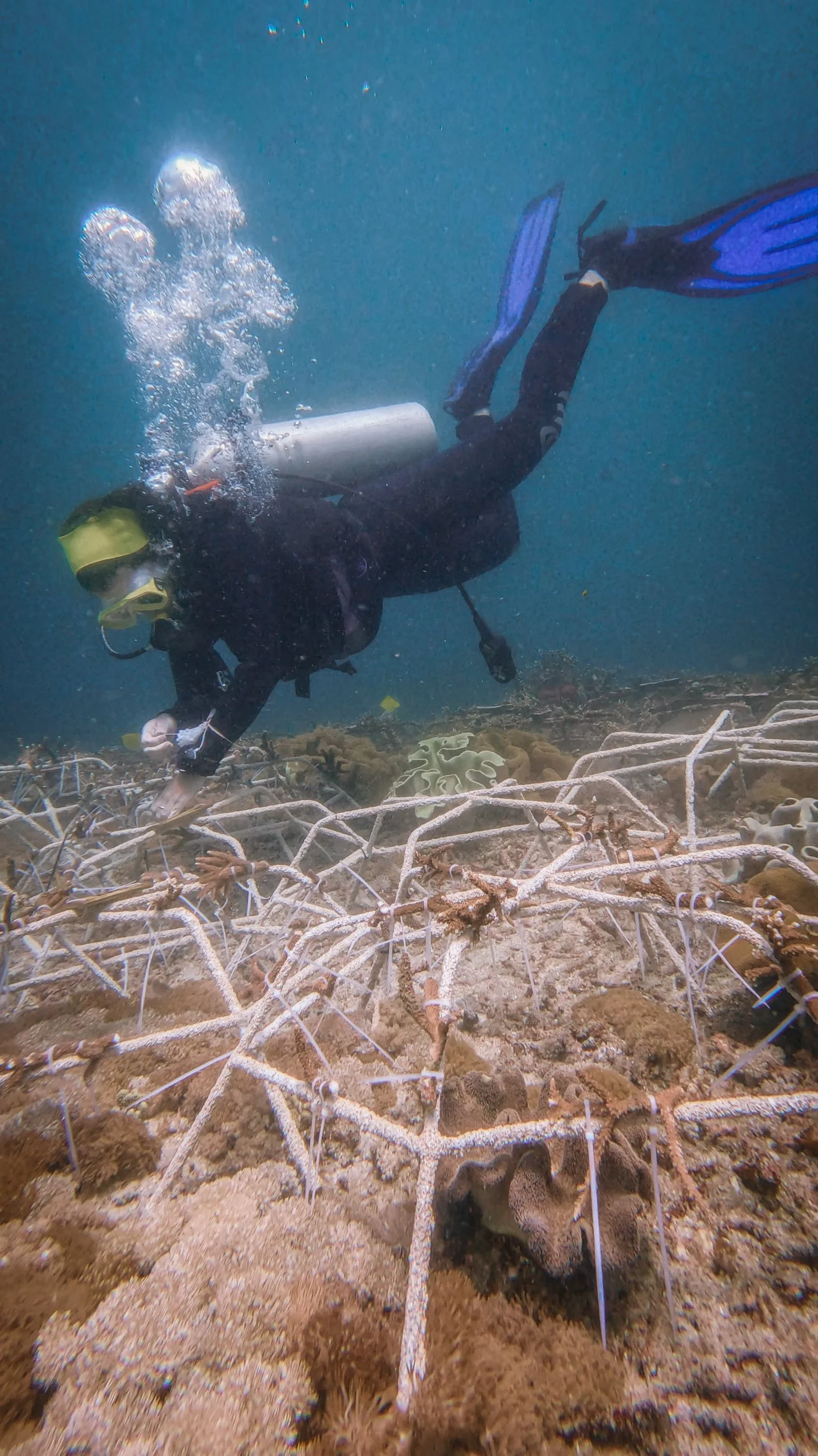 Livingseas-13.jpg