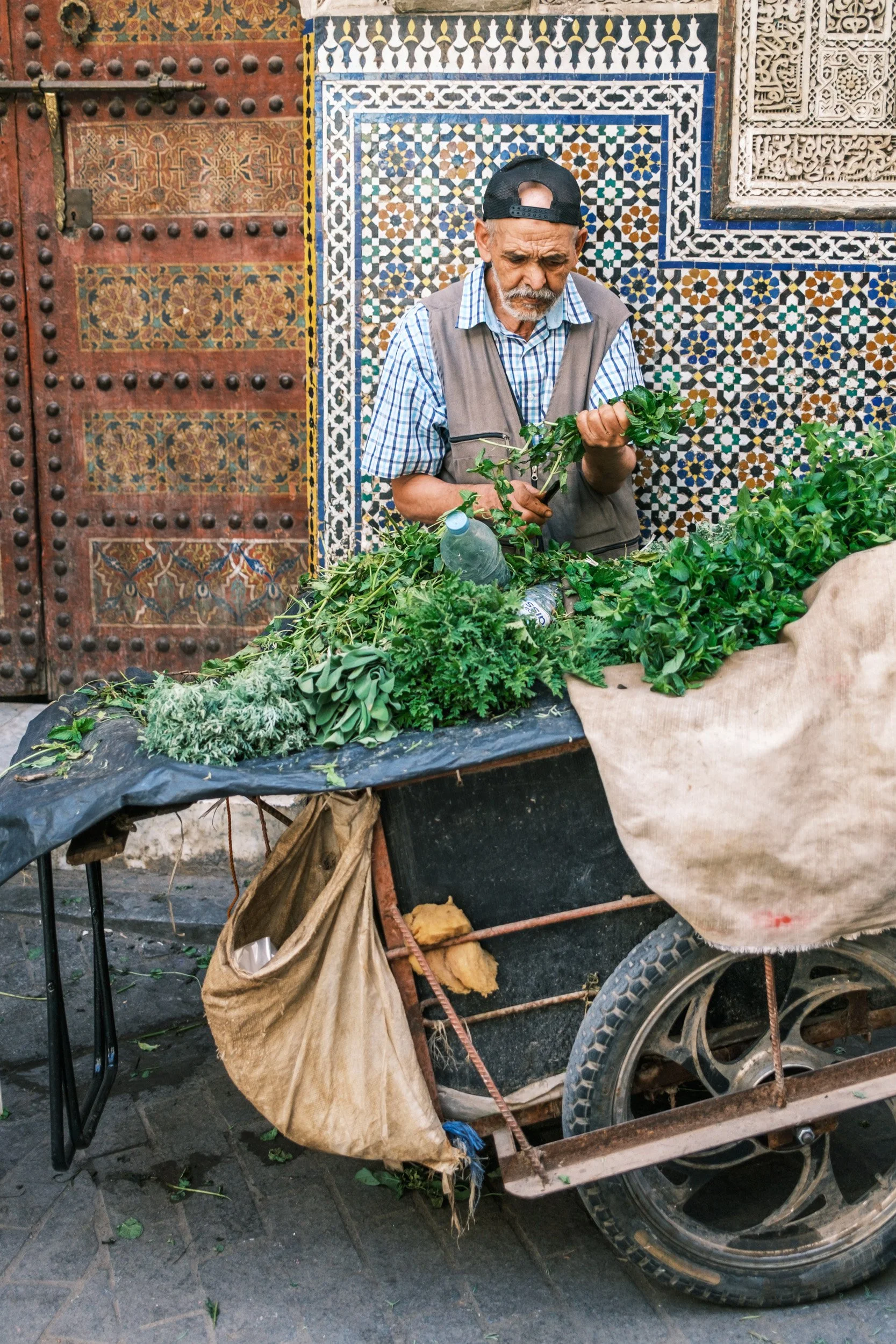-23_fez-morocco_The Herb Seller.jpg