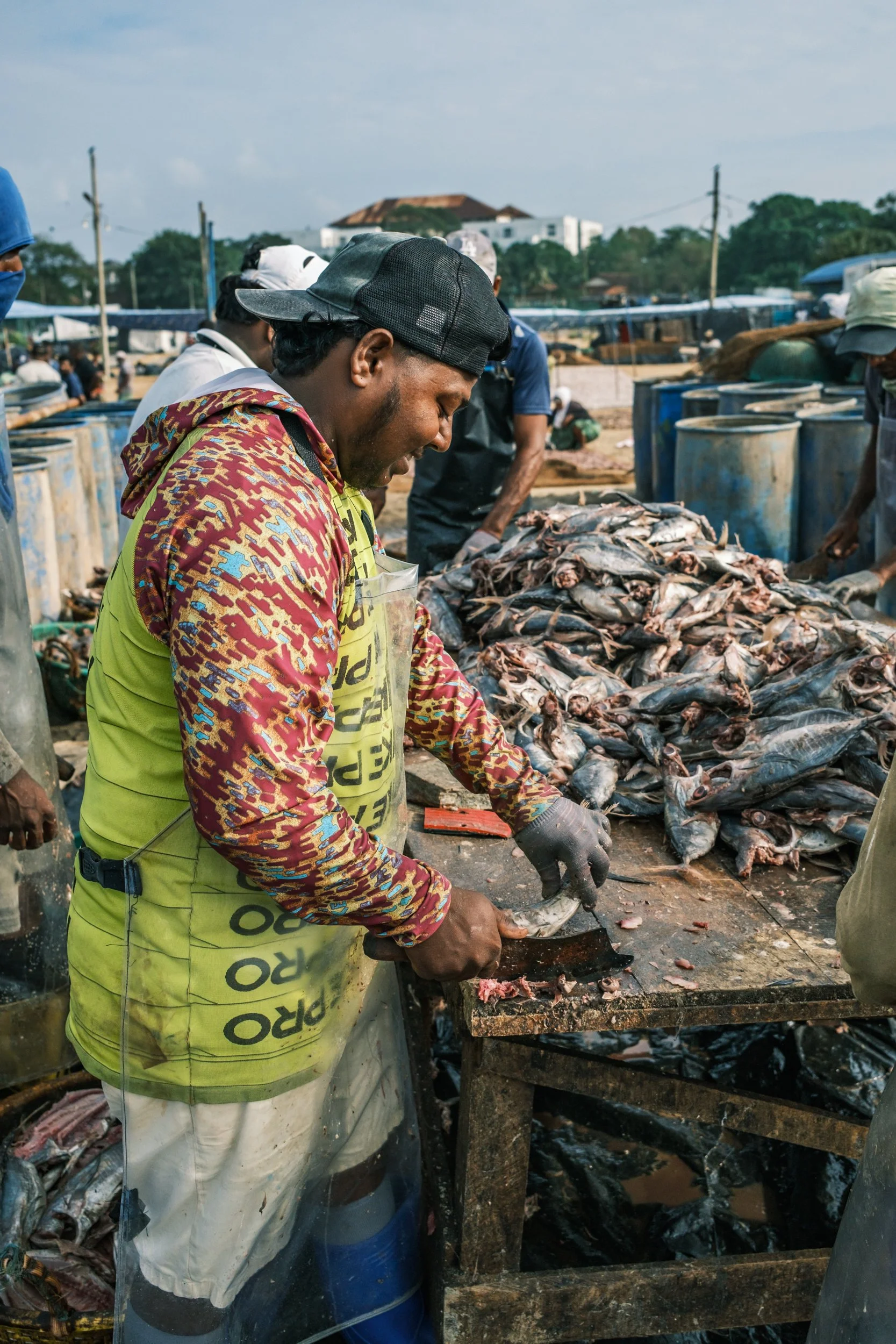 01-negombo-fish-market-drying-yards-sri-lanka-9.jpg