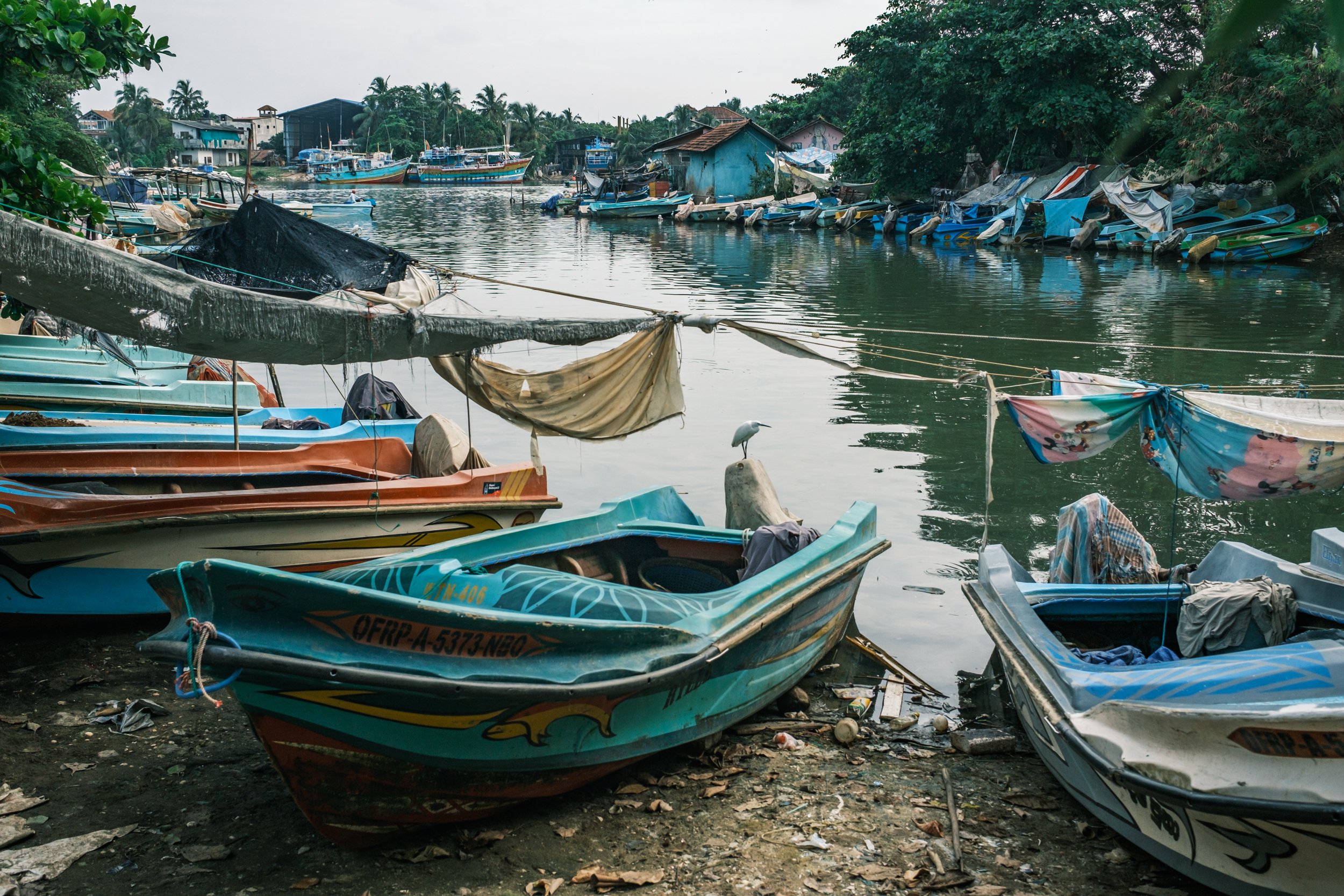 01-negombo-fish-market-drying-yards-sri-lanka-11.jpg