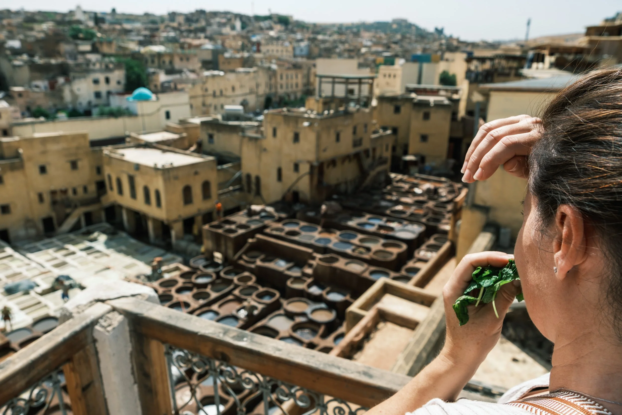 -09_fez-morocco_Mint at the Tannery.jpg
