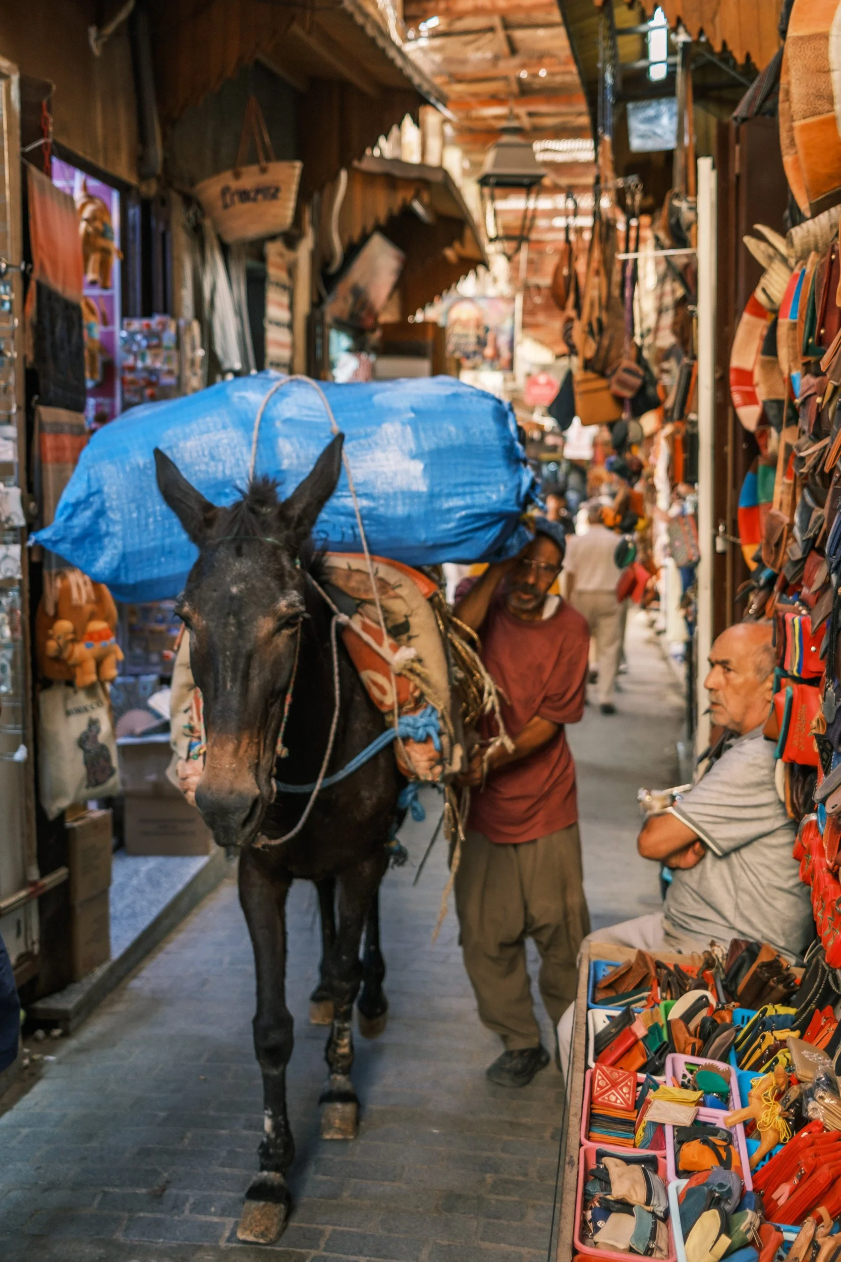 -03_fez-morocco_Mule Through the Souk.jpg