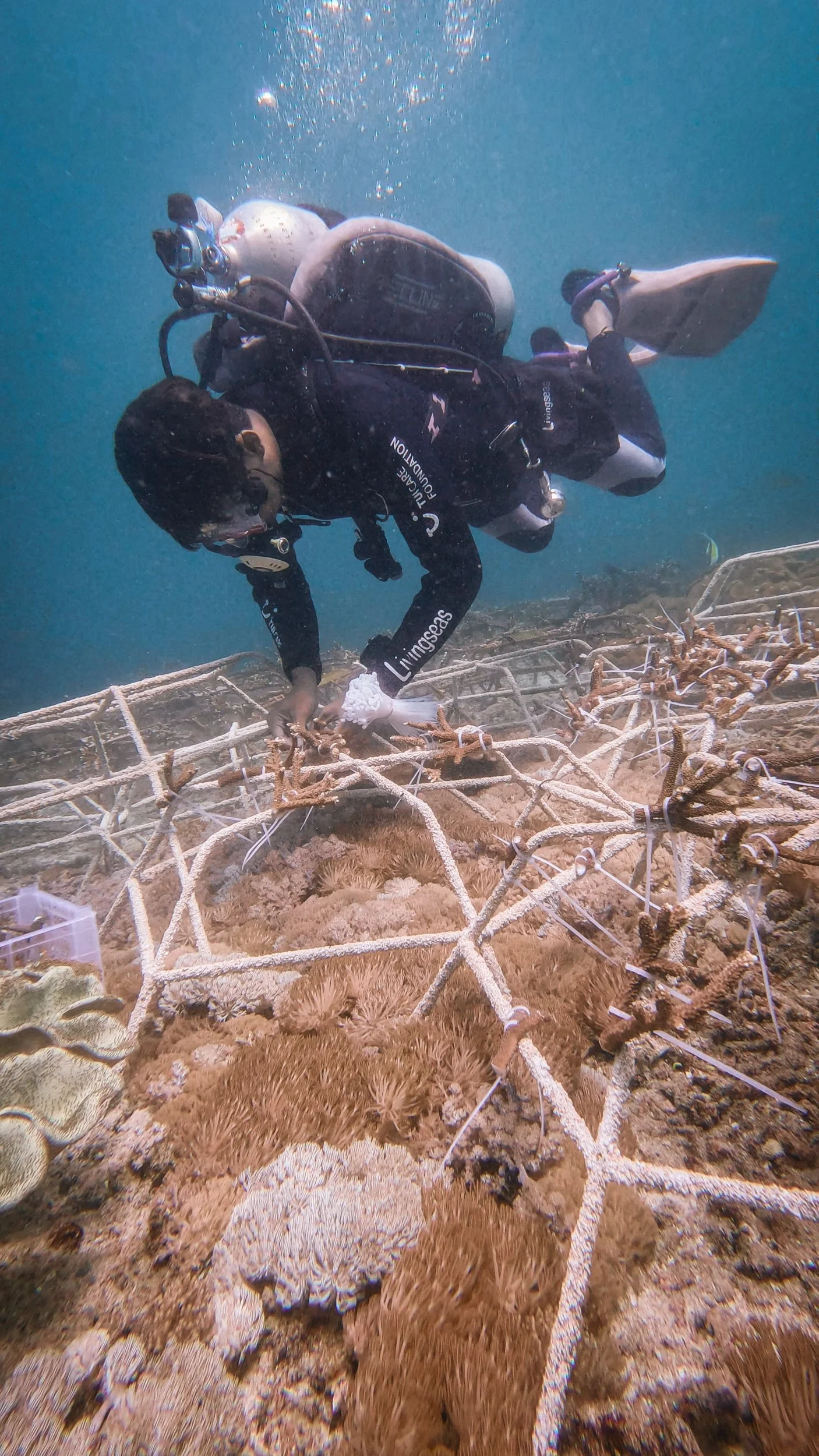 Livingseas-12.jpg