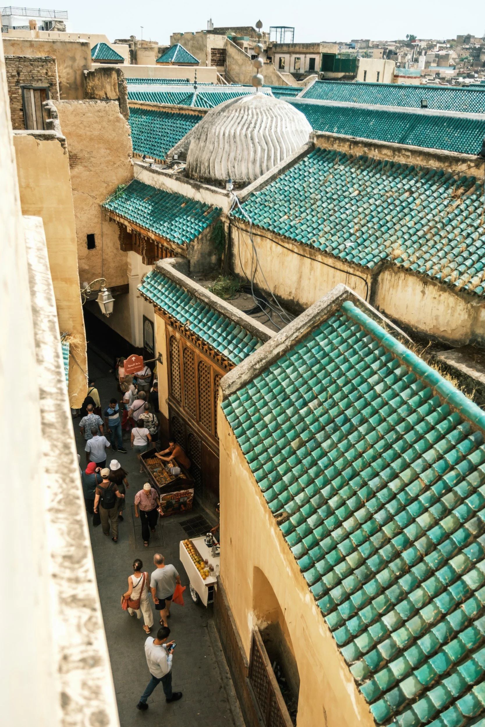 -02_fez-morocco_Green Roofs and the Lane Below.jpg