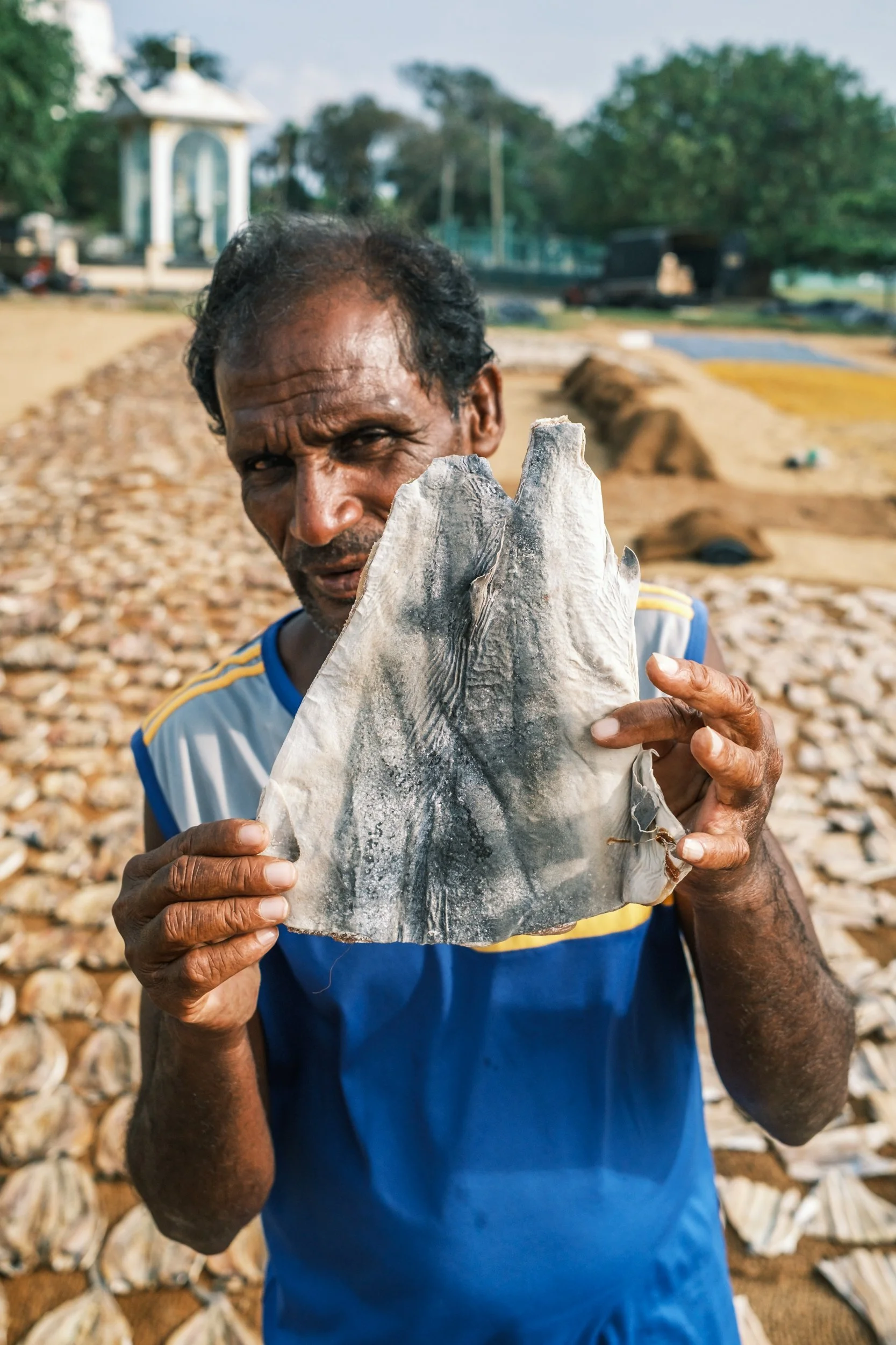 01-negombo-fish-market-drying-yards-sri-lanka-5.jpg