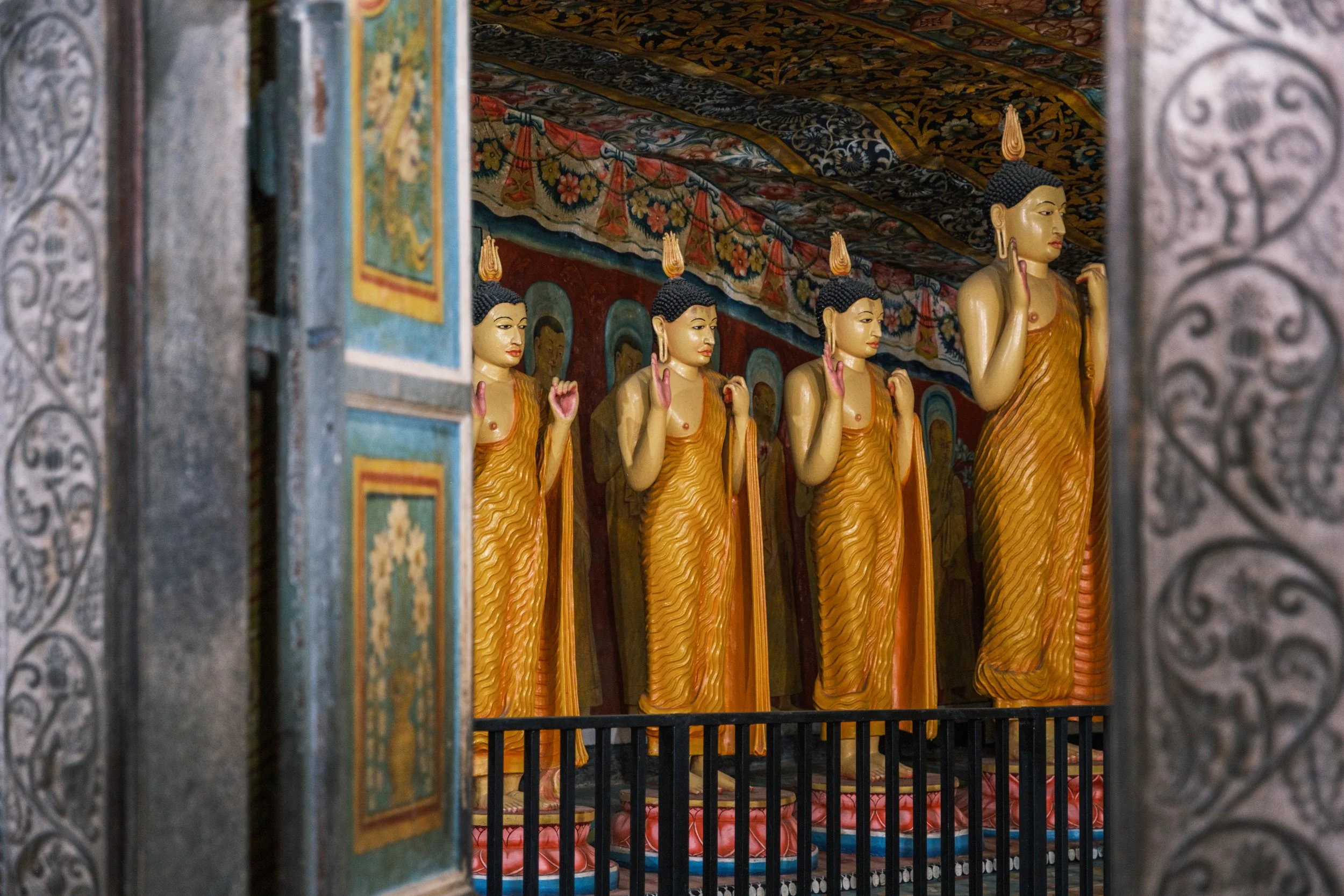DSCF8573.jpg