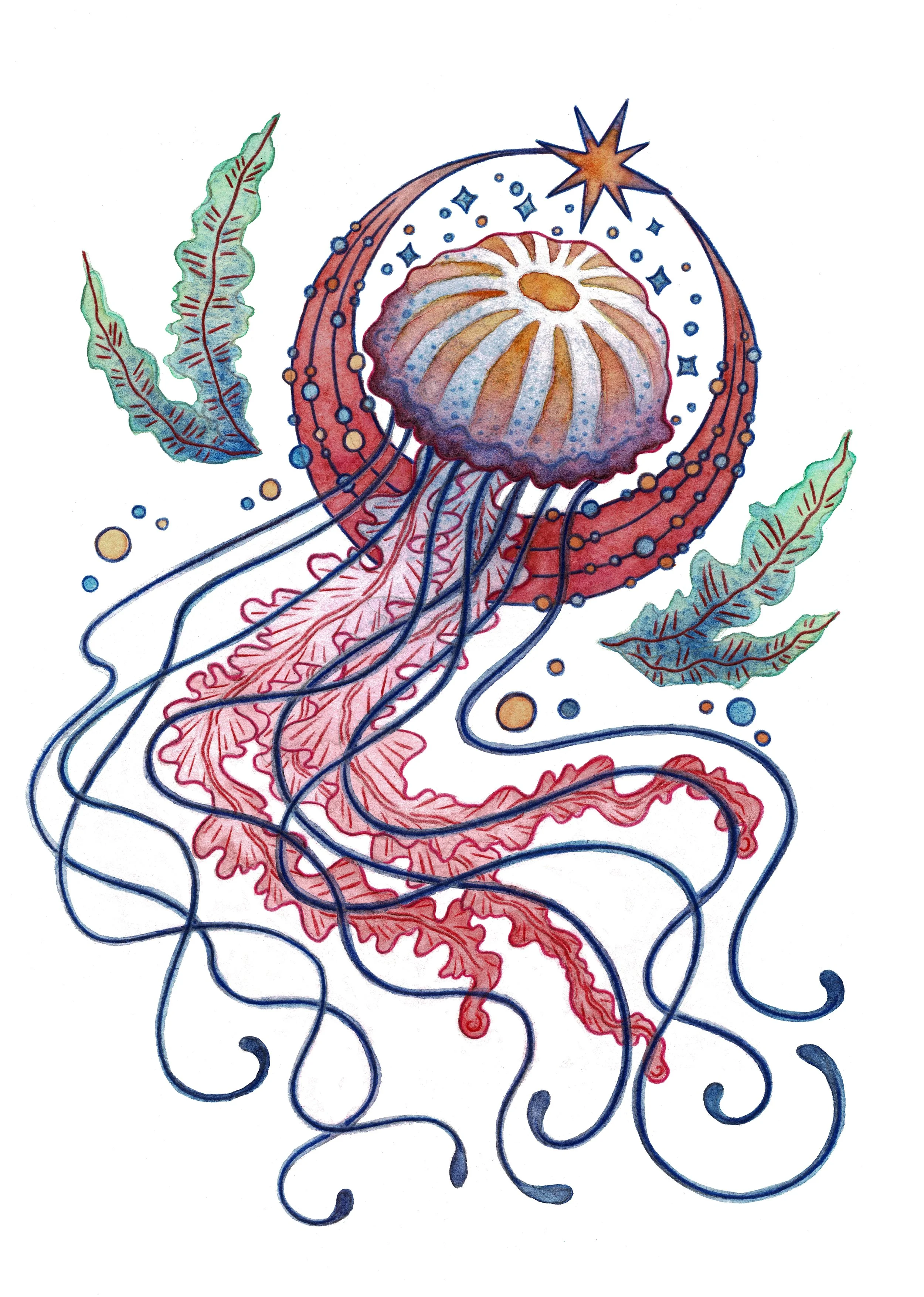 A watercolor illustration of a jellyfish with a round, striped bell and long, flowing tentacles, surrounded by blue- and golden-colored bubbles, leaves, and a star in an ocean scene.