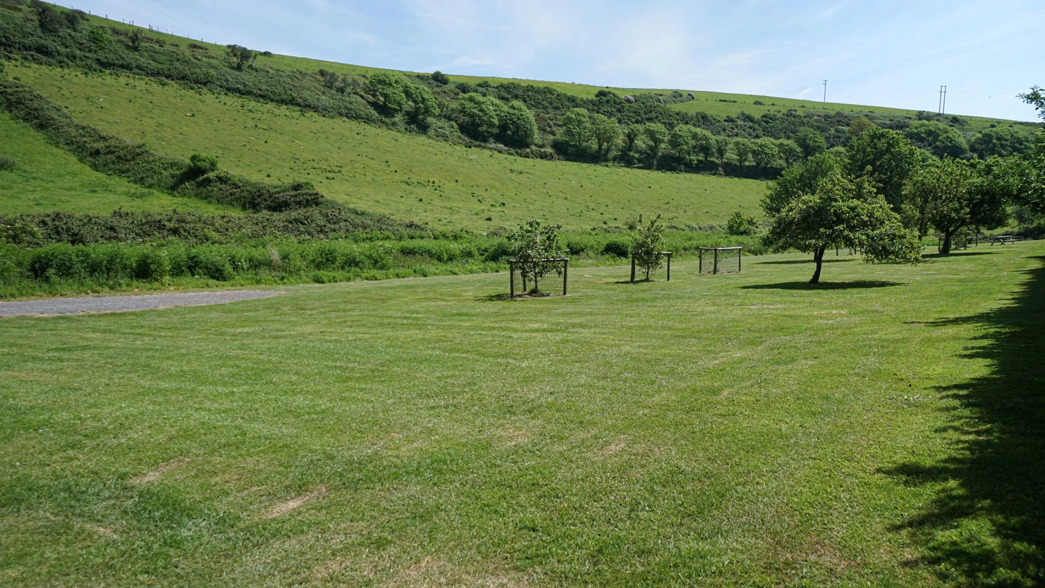 orchard3.jpg