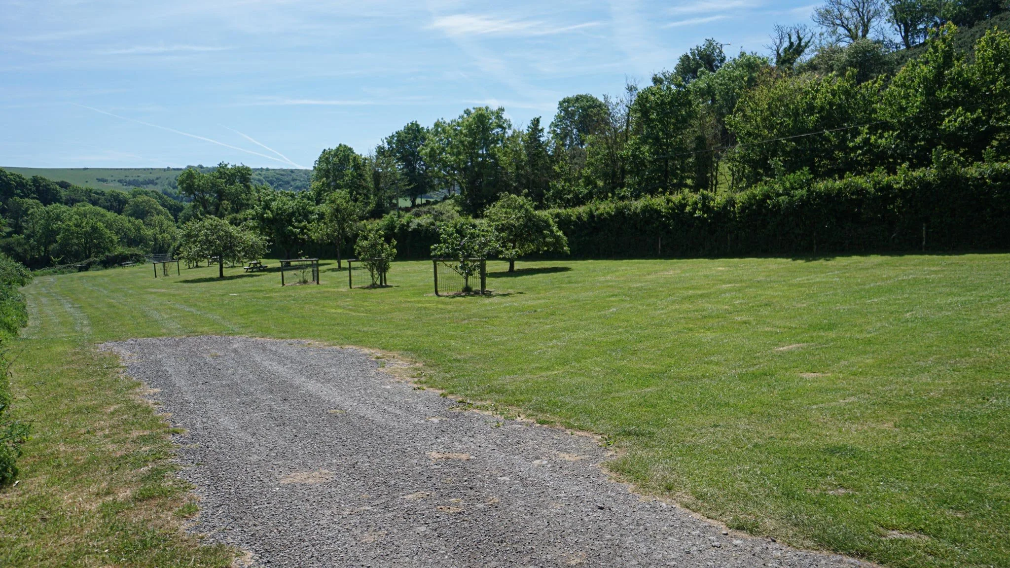 orchard2.jpg