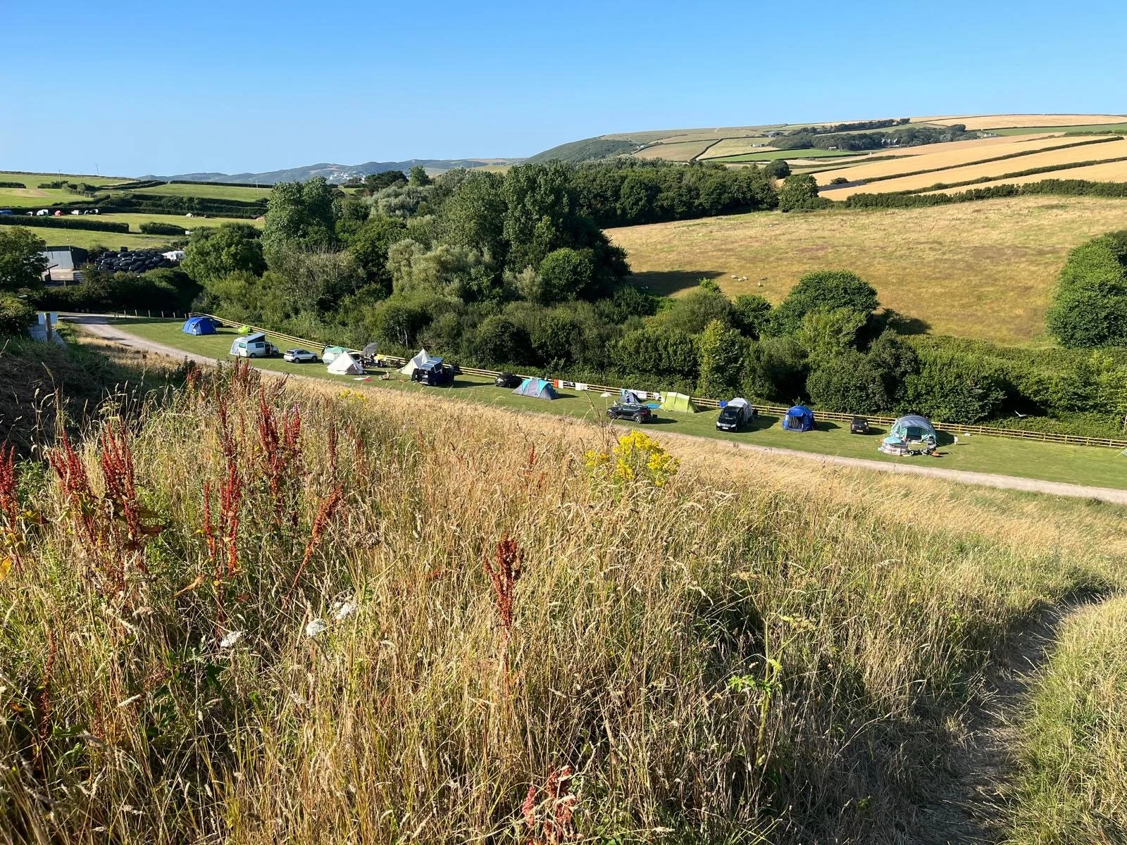 Multiple tents and vehicles set up along a grassy hillside in a rural area with rolling hills and green trees under a clear blue sky.