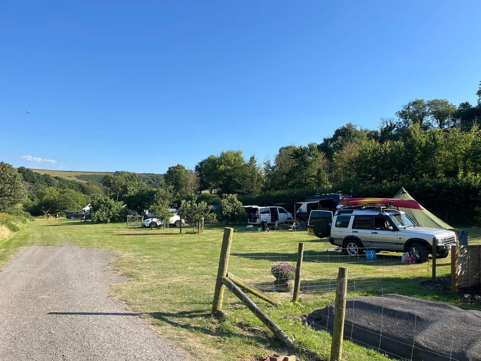 A campsite on a grassy field with several parked vehicles, including vans and SUVs, under a clear blue sky. A small tent, some gardening pots, and a fence are also visible.