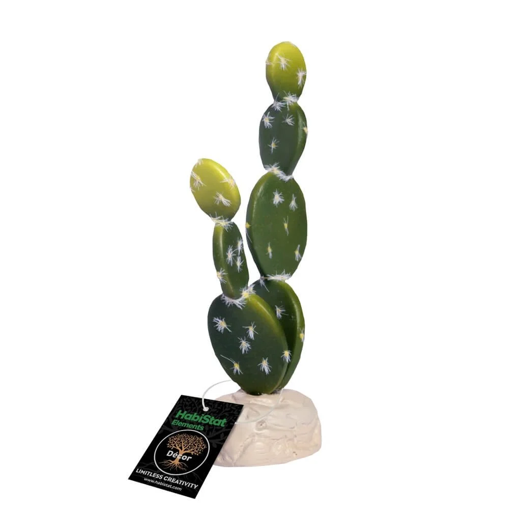 habistat-cacti-be.jpg