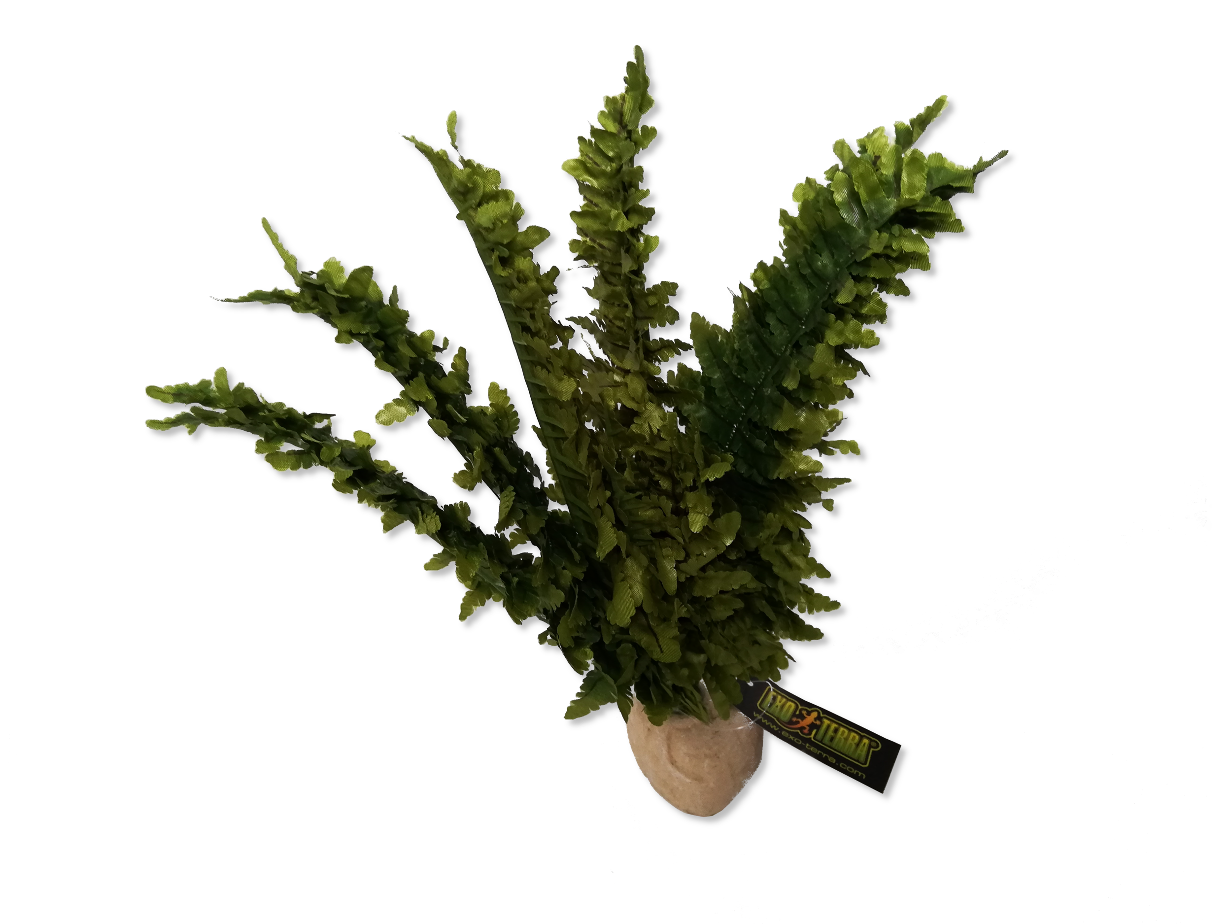 Exo Terra Boston Fern (artificial plant)  HappyTortoises