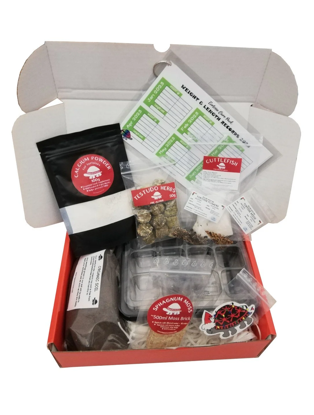 Christmas Gift Boxes for Tortoises