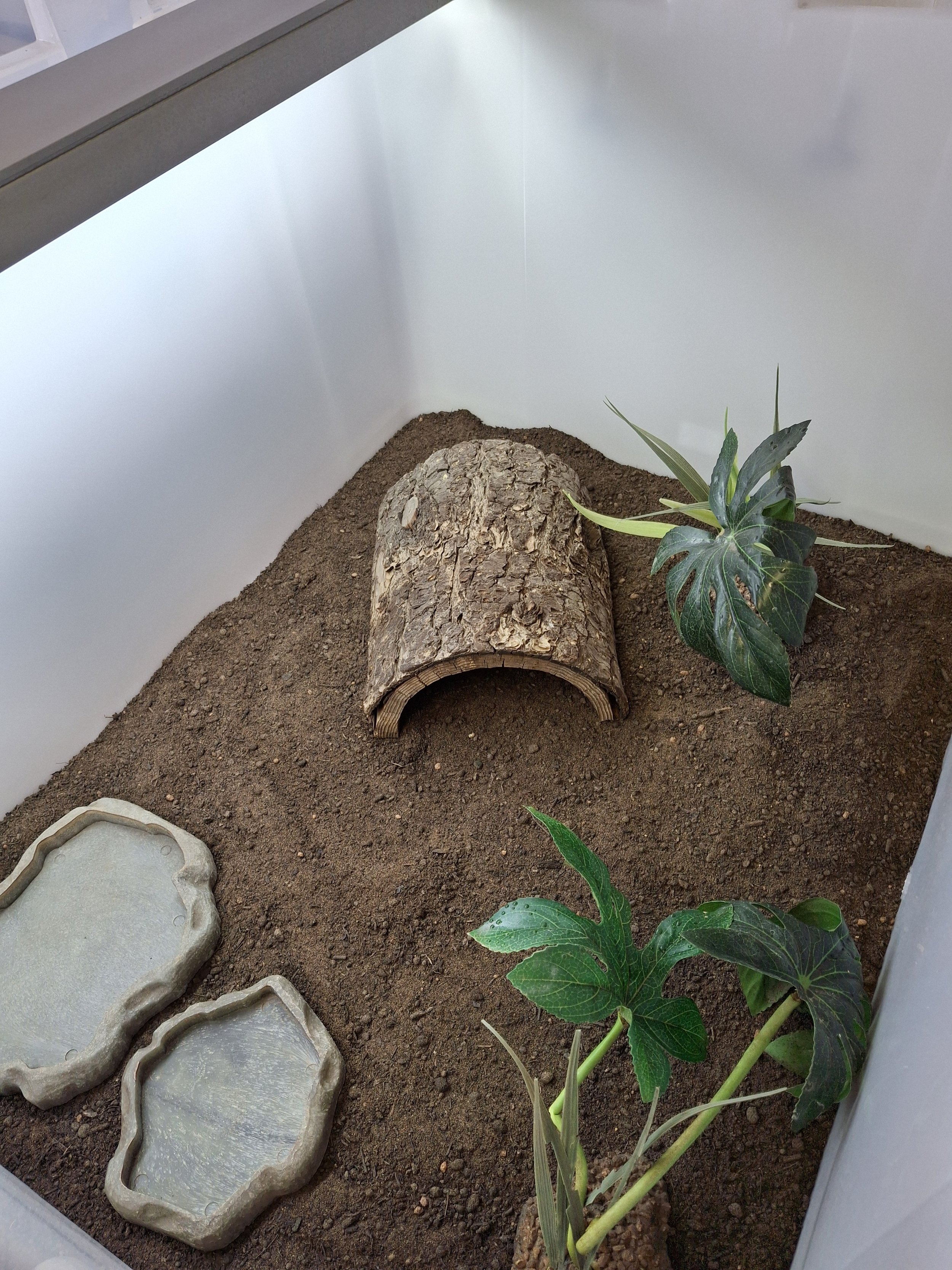 medium_sized_enclosure_A.jpg