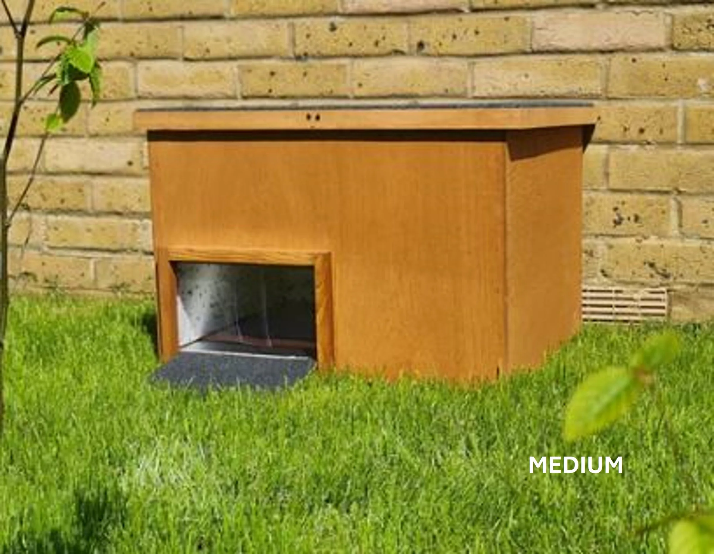 medium-tortoise-house-door-open.JPG