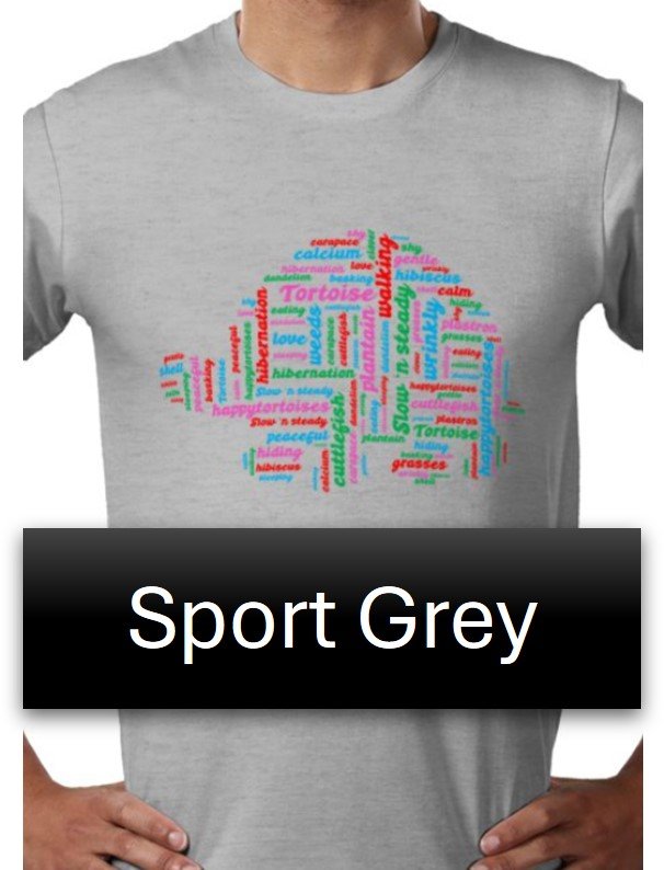 ppt SPORT GREY with multi.jpg
