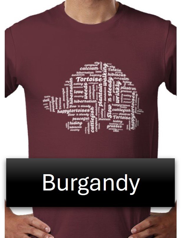 ppt BURGANDY with white.jpg