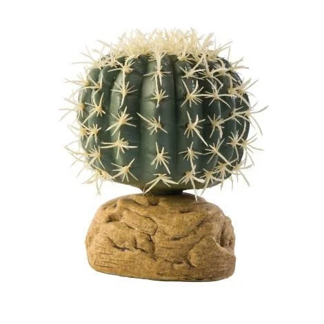 exo-terra-barrel-cactus.jpg