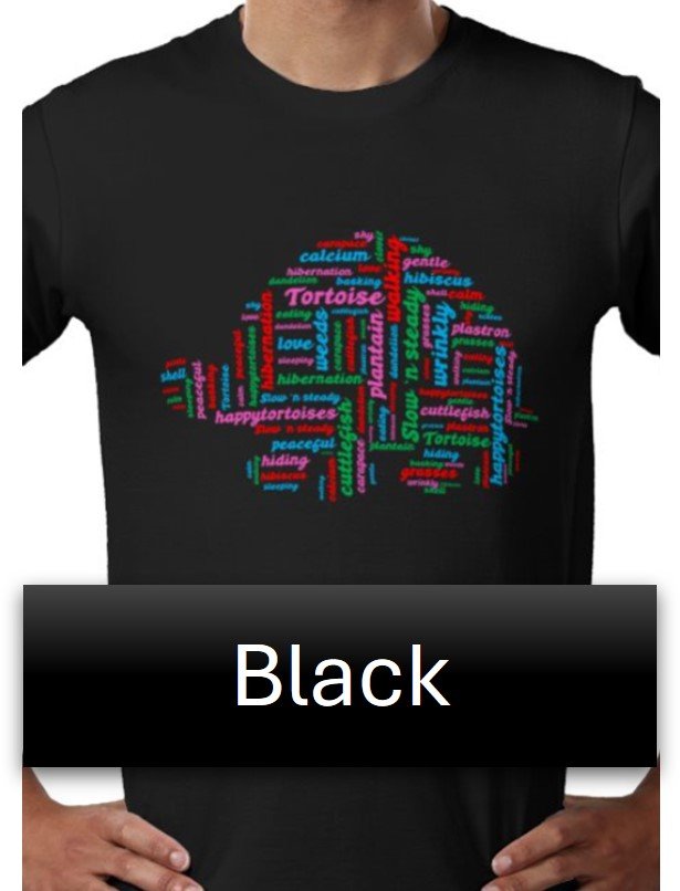 ppt black with multi.jpg