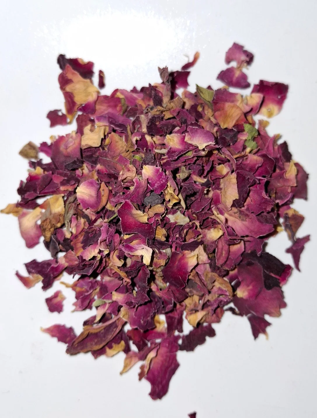dried roses.jpg