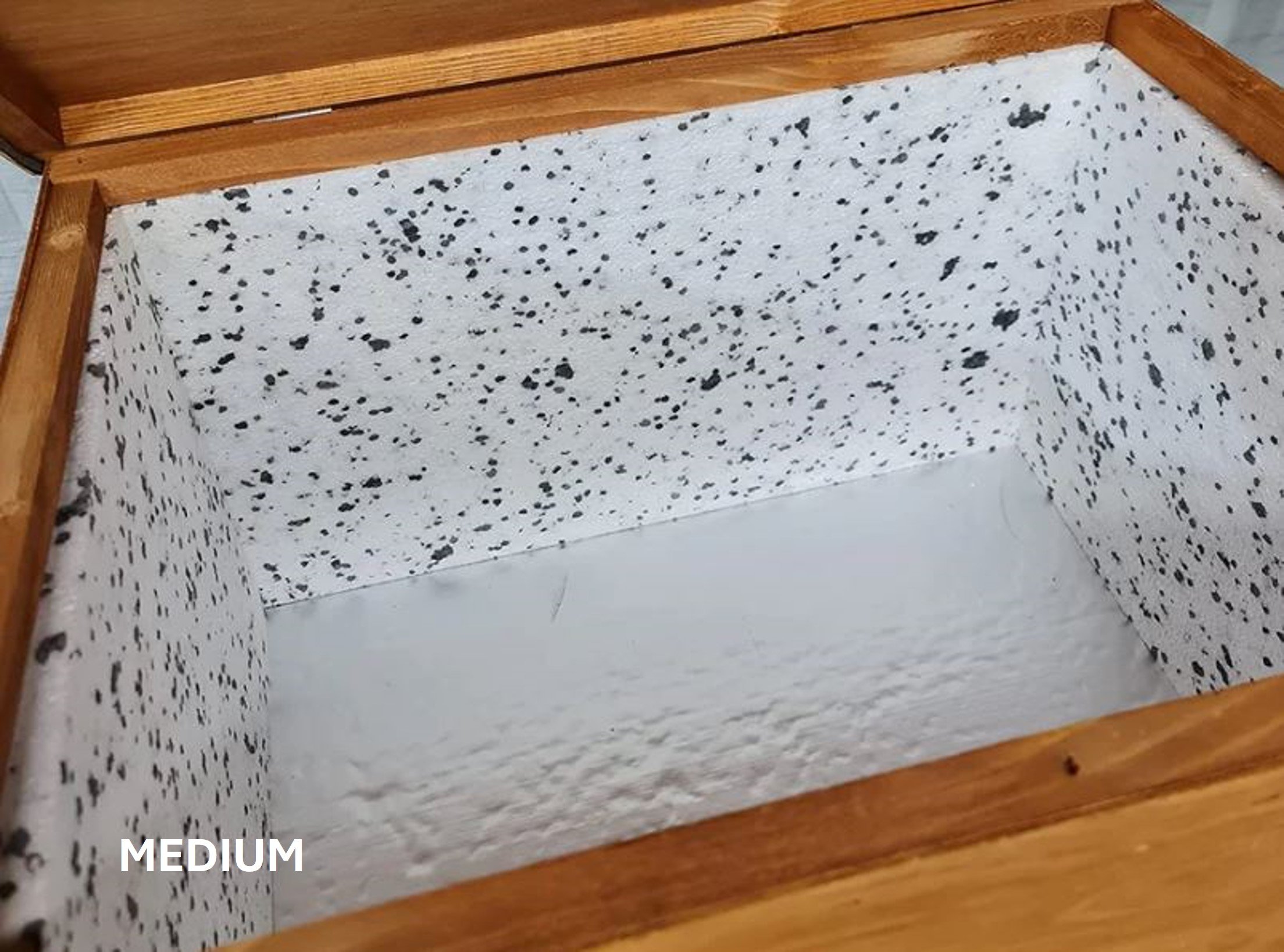 medium-tortoise-house-door-inside.JPG