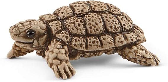 tortplayset5.jpg
