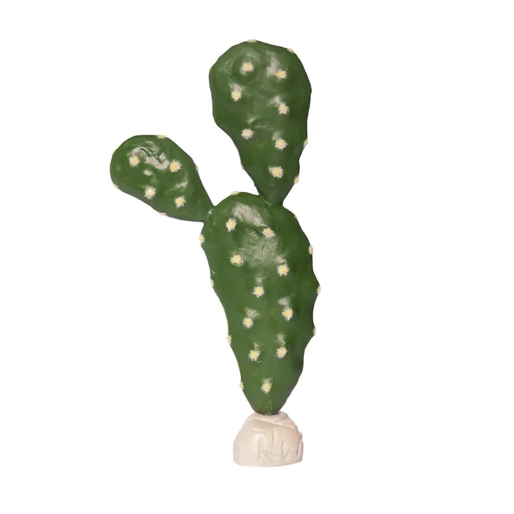 habistat-cacti-pp.jpg