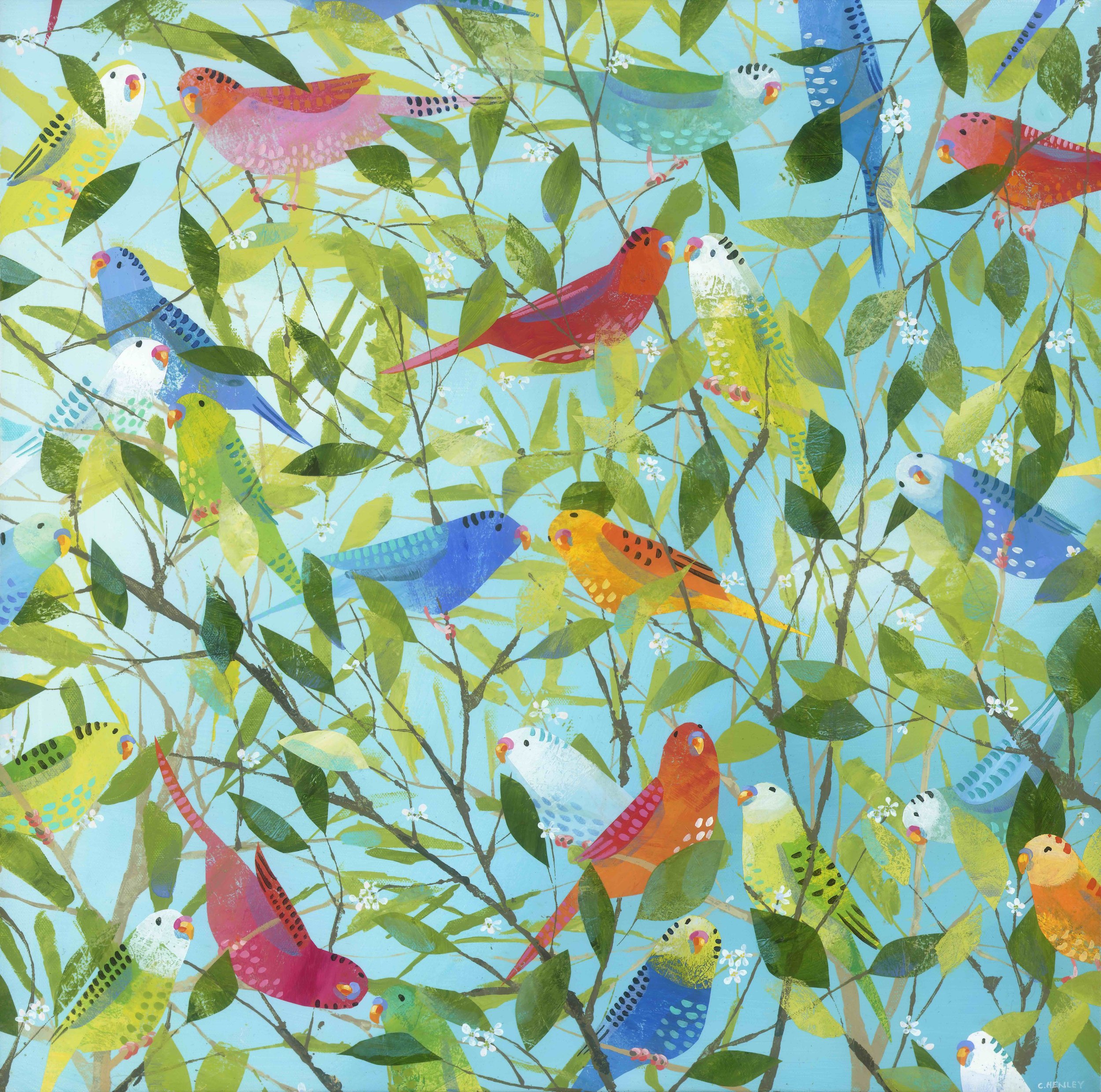 Parakeet Party rt2 copy.jpeg