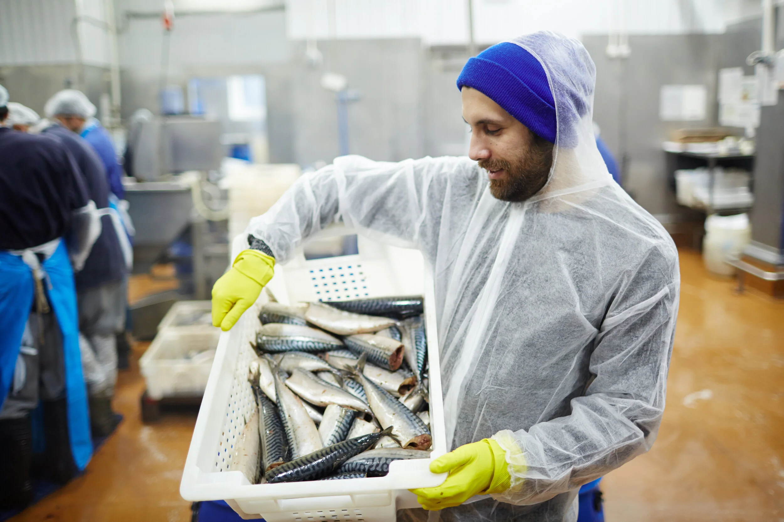 The COVID Storm's Not Over For The Fish Industry - Not By A Long Shot