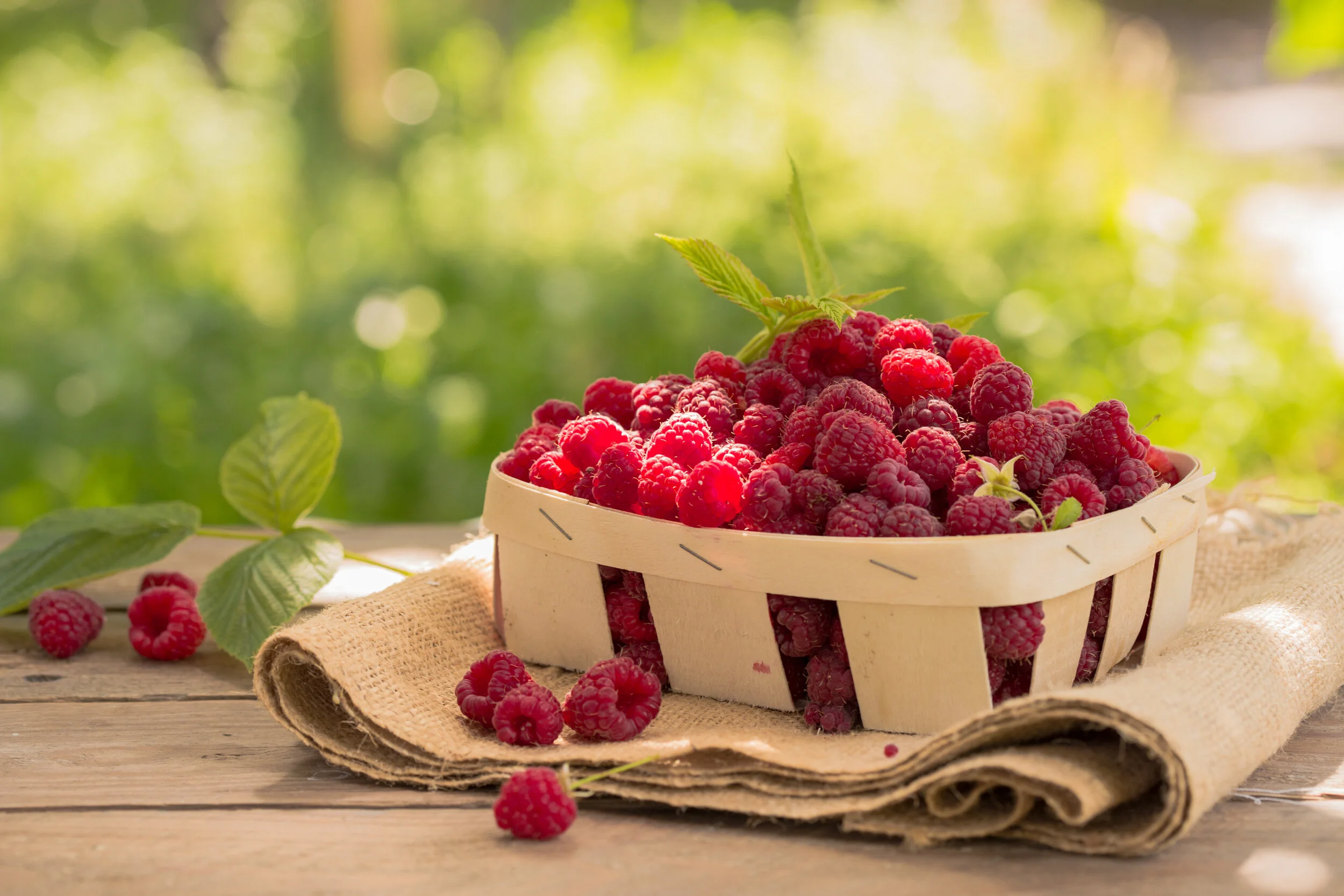 It's British Raspberry Season - Here's How To Eat Them In Every Meal