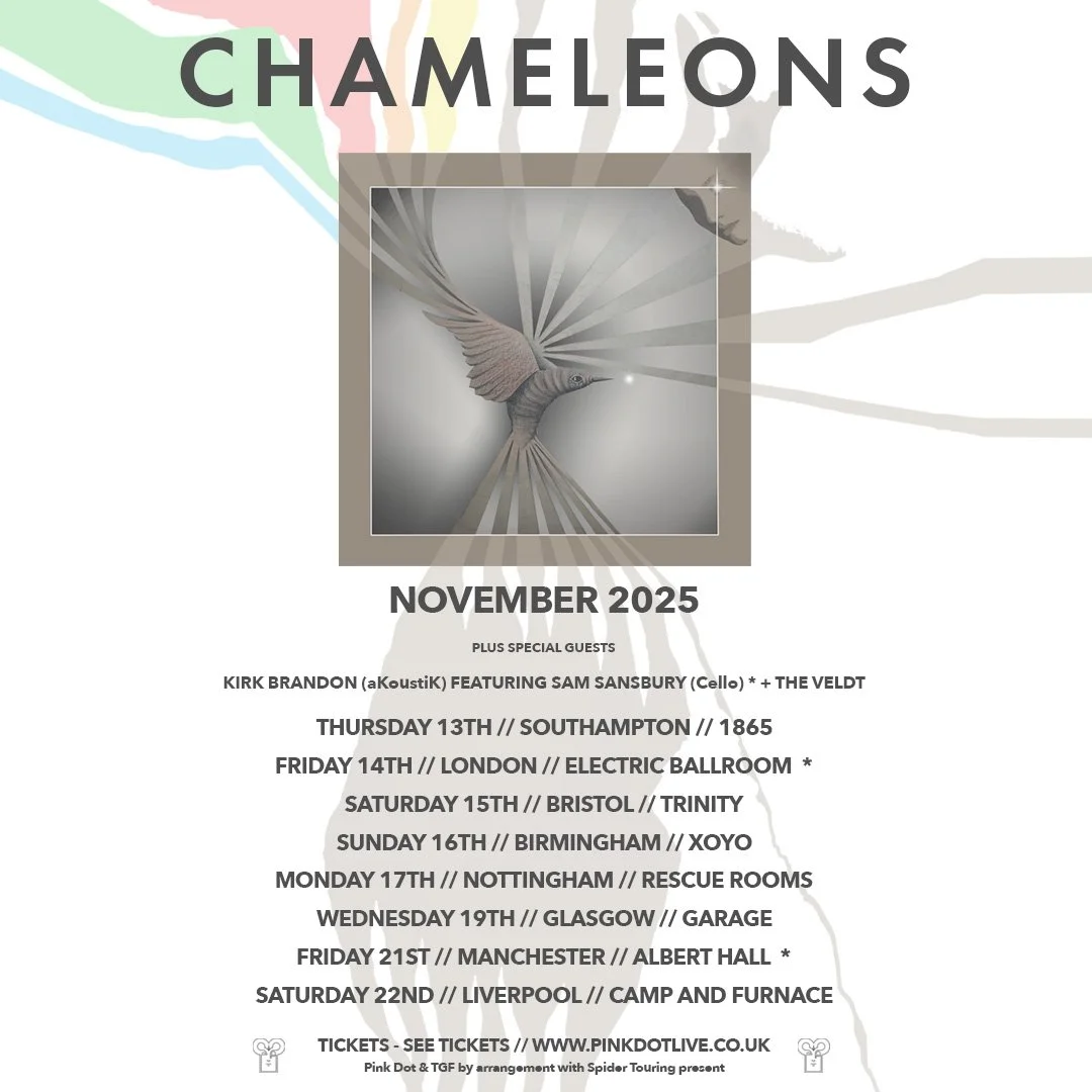 Tour poster for the band Chameleons in November 2025. Features a stylized hummingbird in grayscale with rays emanating from its body. Tour dates and locations listed from November 13th to 22nd across various cities in the UK. Includes details for tic